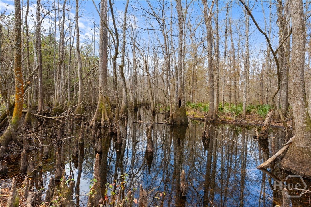 1000 Old River Road S, Brooklet, GA, 30415