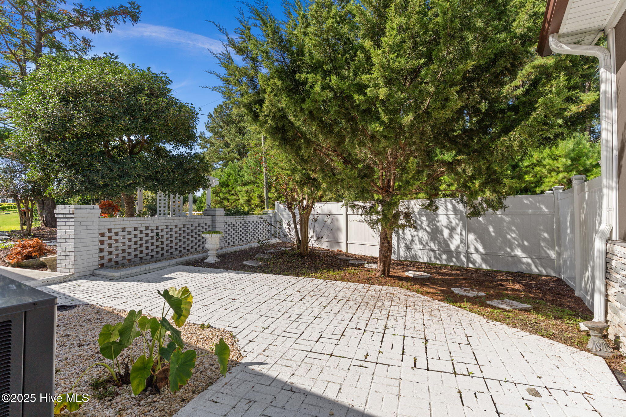 100532897 | Photo 14