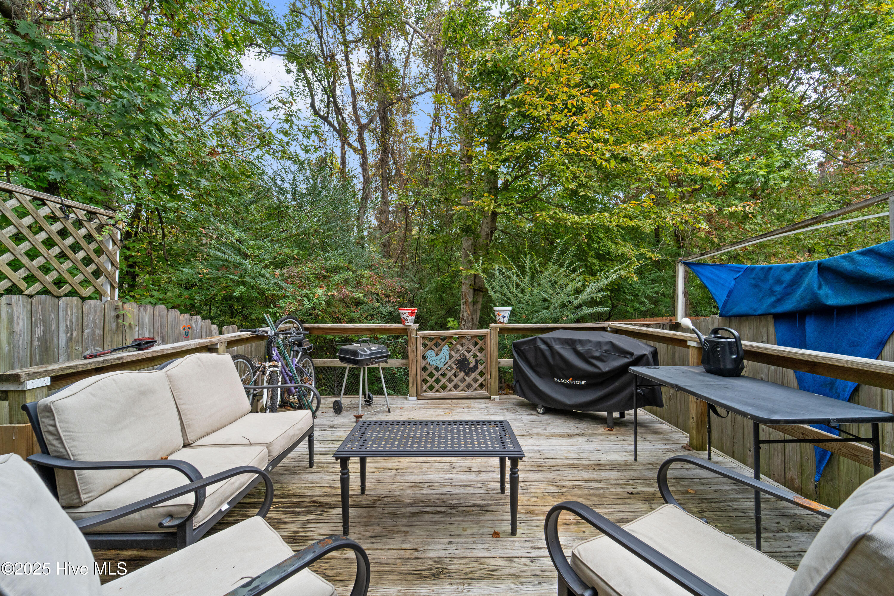 100538926 | Photo 17