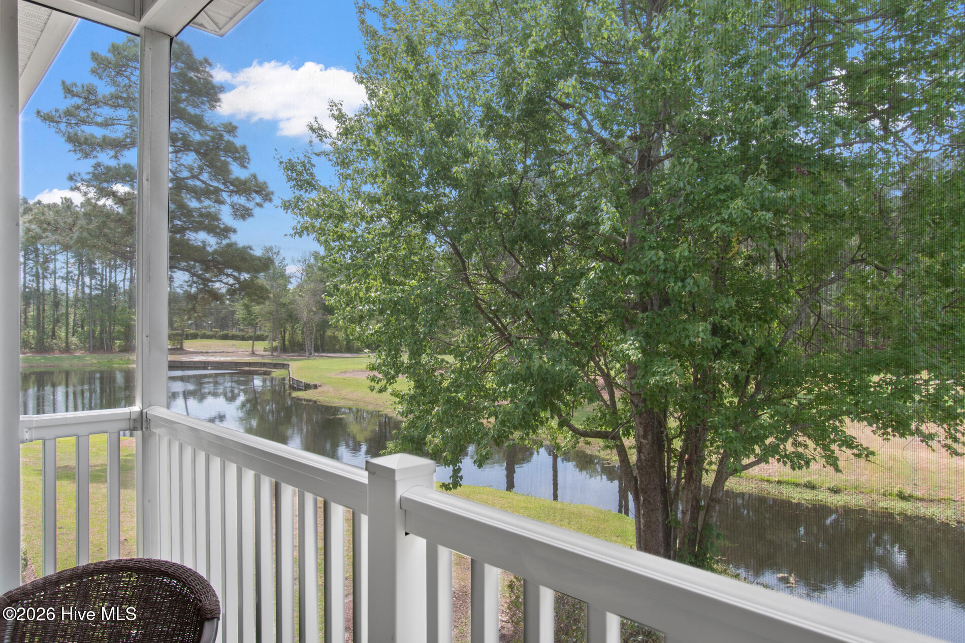 100566917 | Photo 20