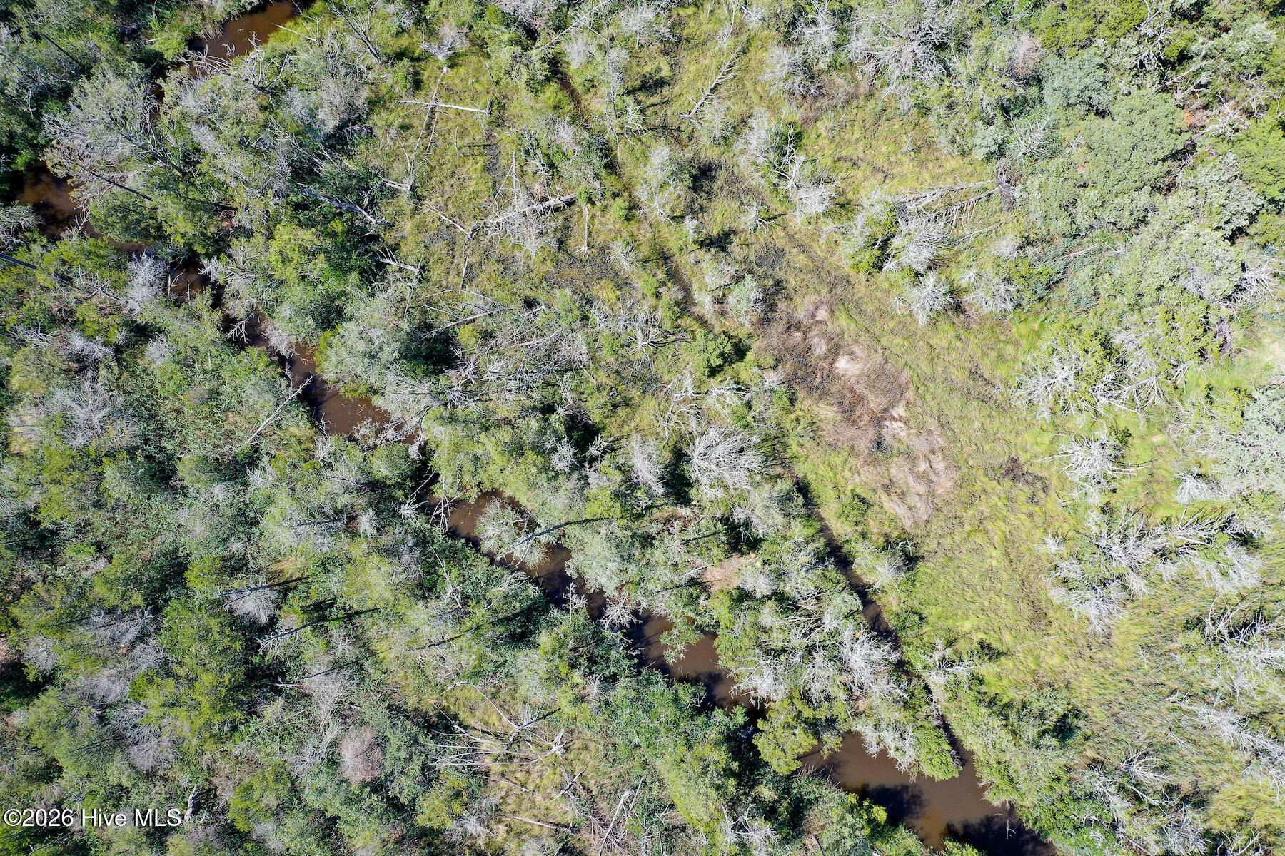 4.57 Acres Meekins Road,Bayboro