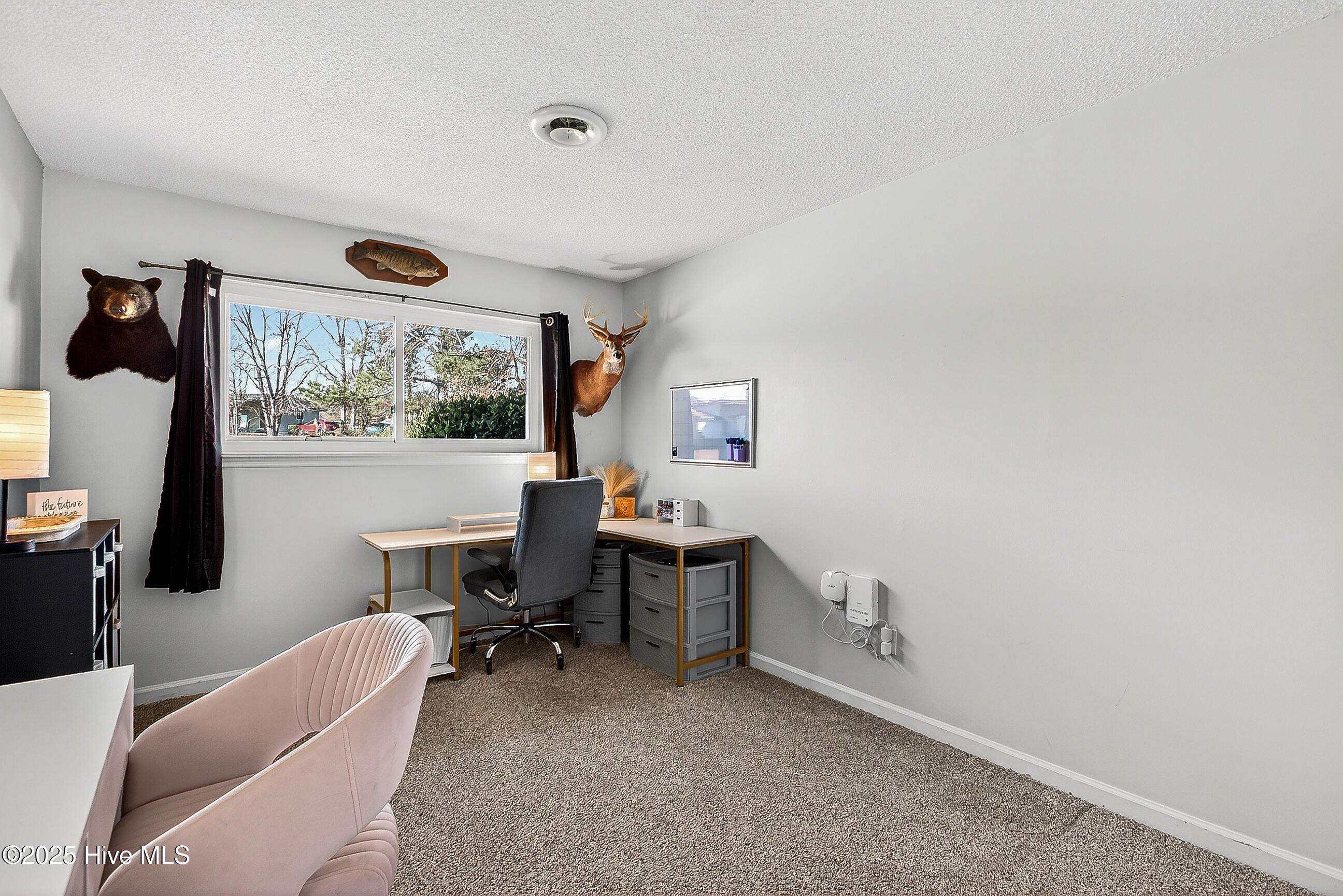 100545052 | Photo 17