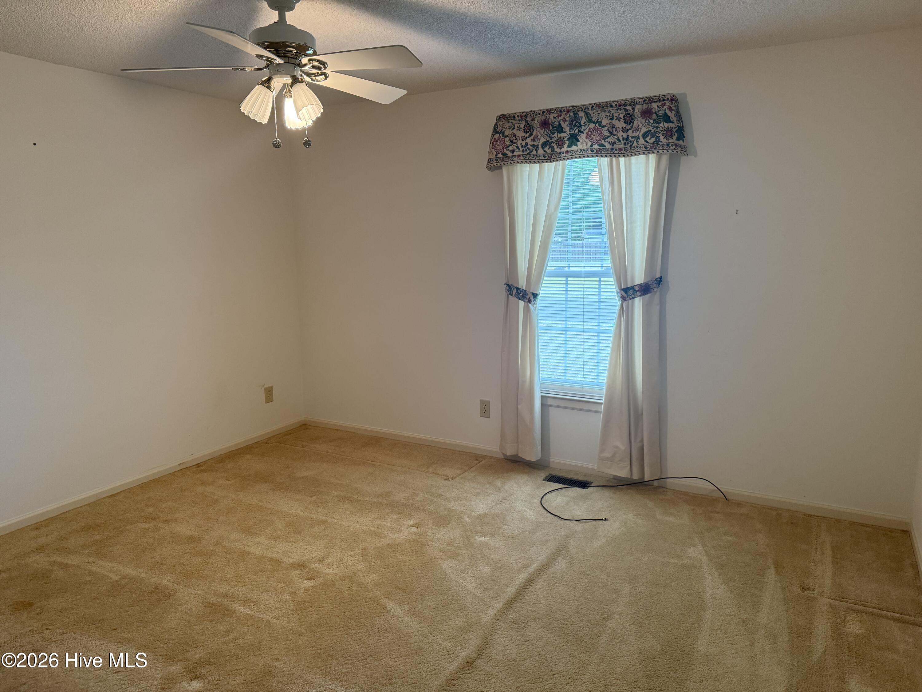 100570594 | Photo 21