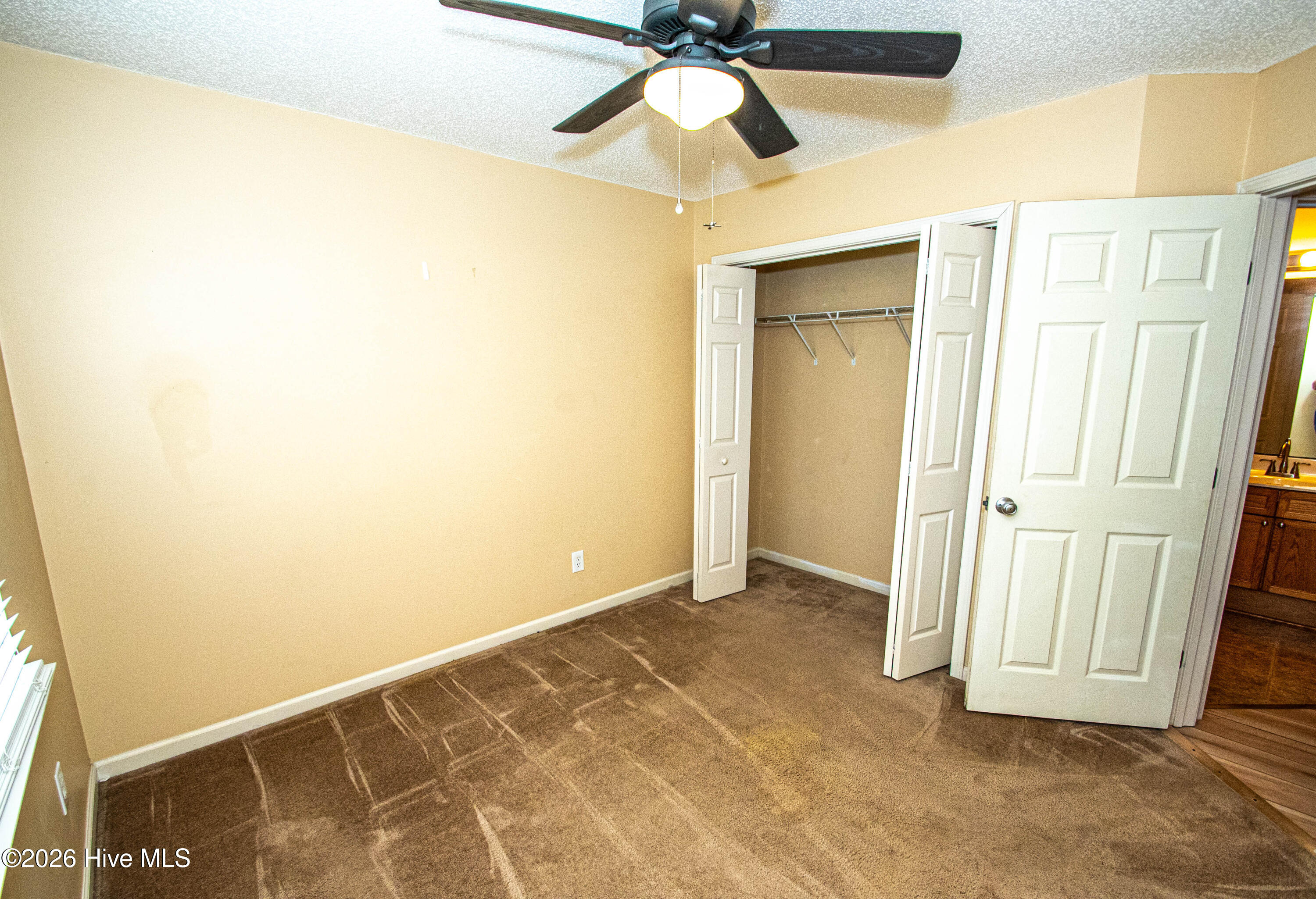 100567931 | Photo 33