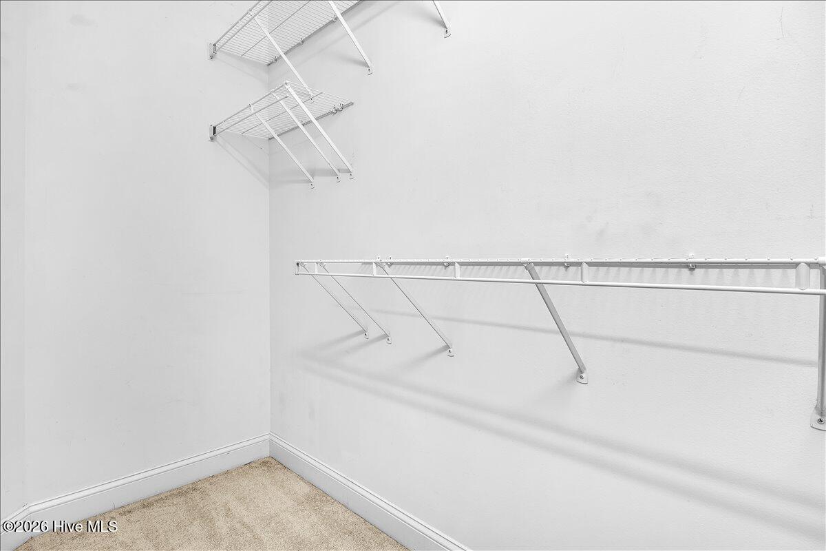 100567223 | Photo 25