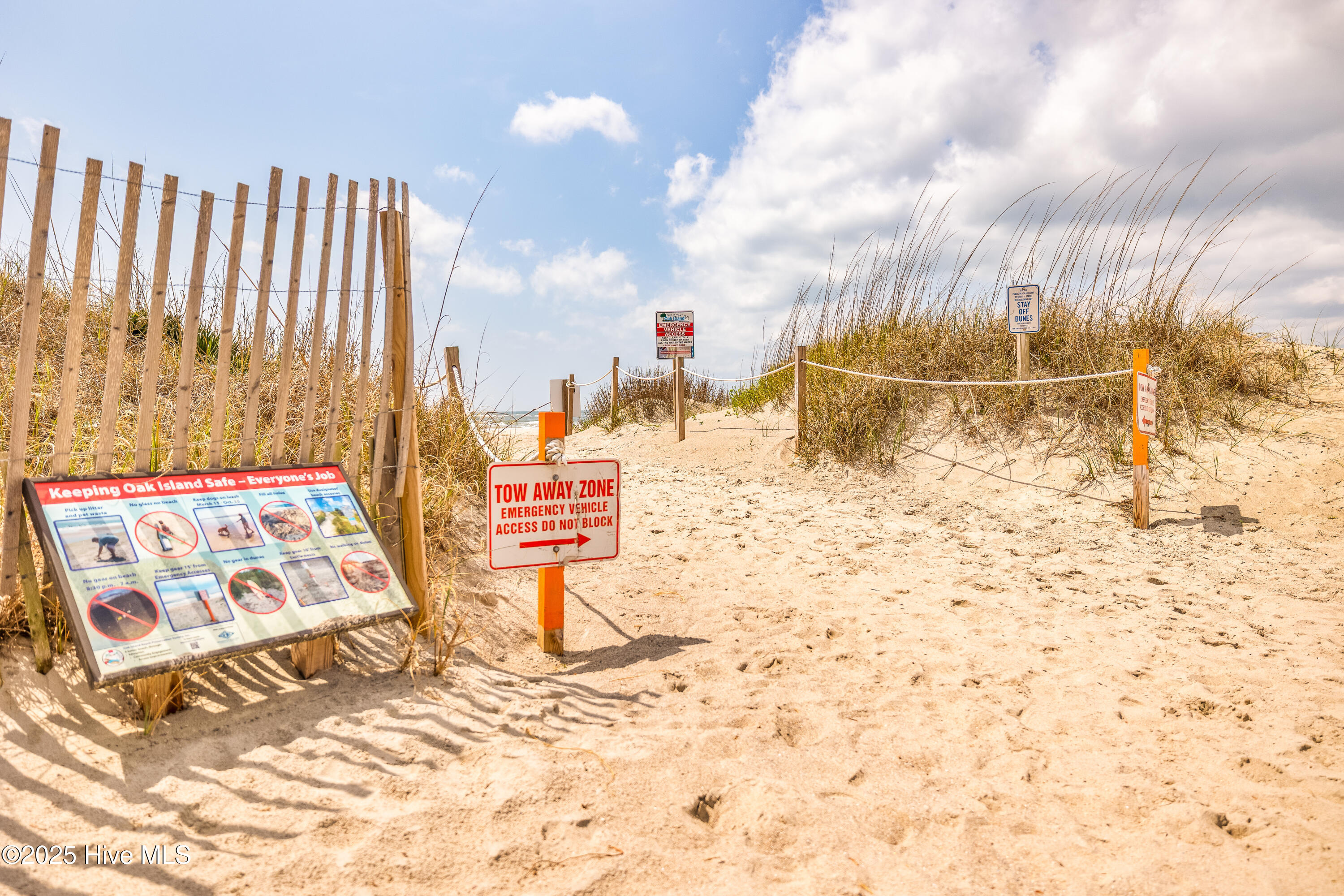 100500565 | Photo 66