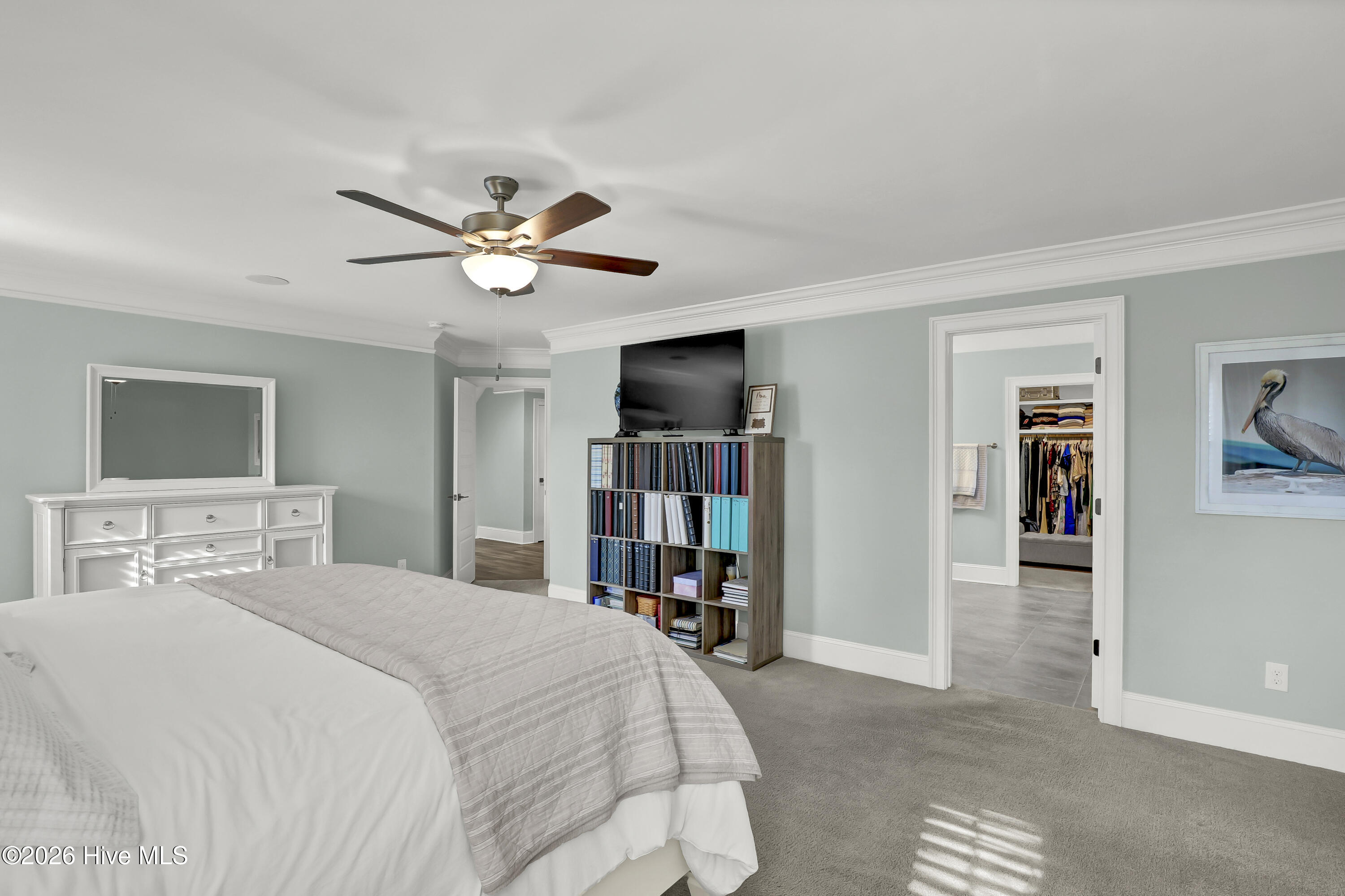 100558429 | Photo 28