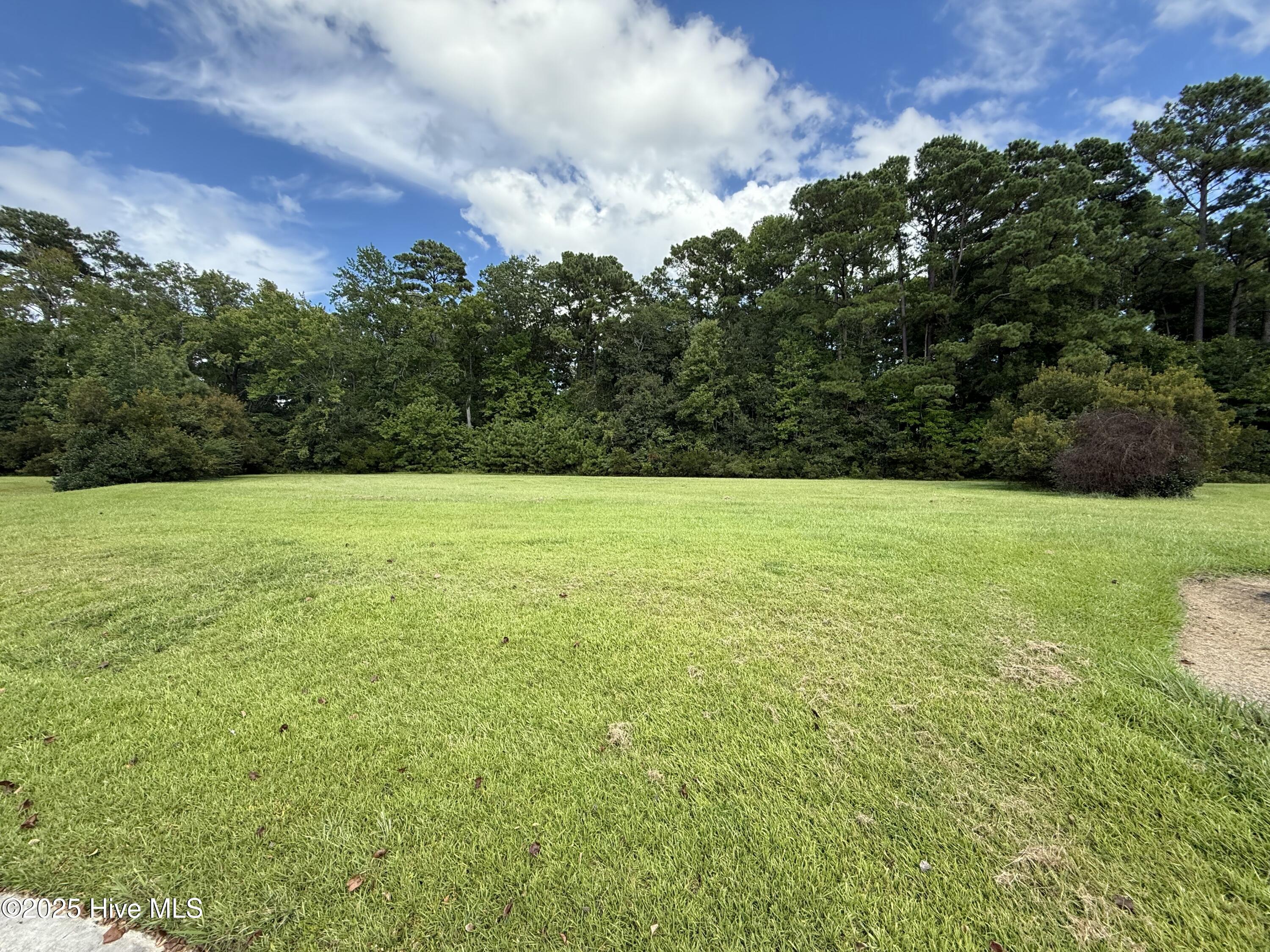 Homes for sale in Arapahoe, NC | 61 Edna Ct, Arapahoe, NC 28510 | MLS# 100529467