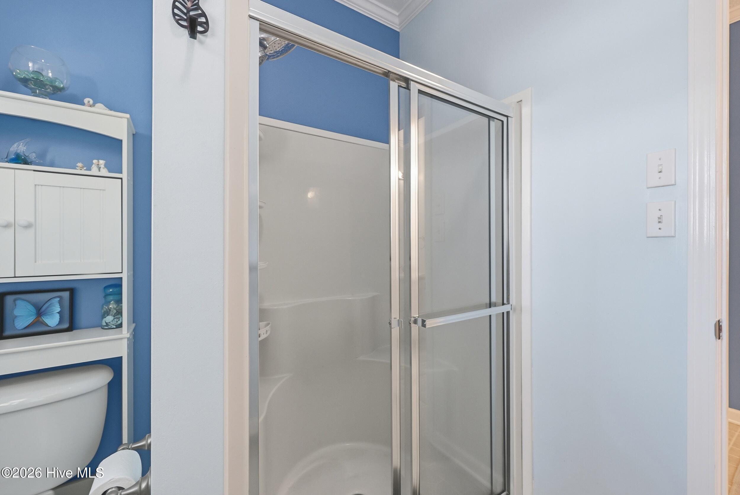 100561141 | Photo 31