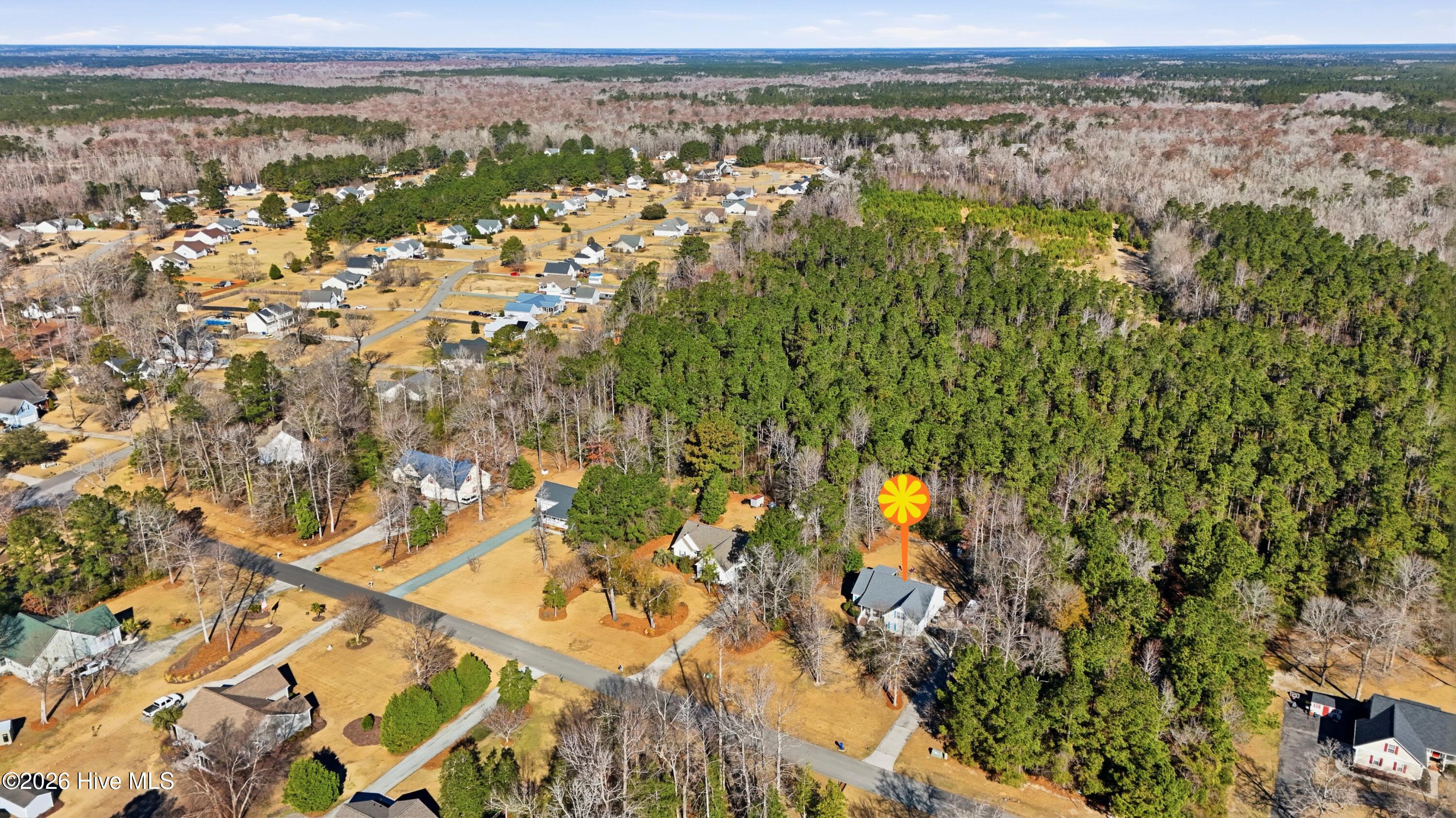 100562137 | Photo 33