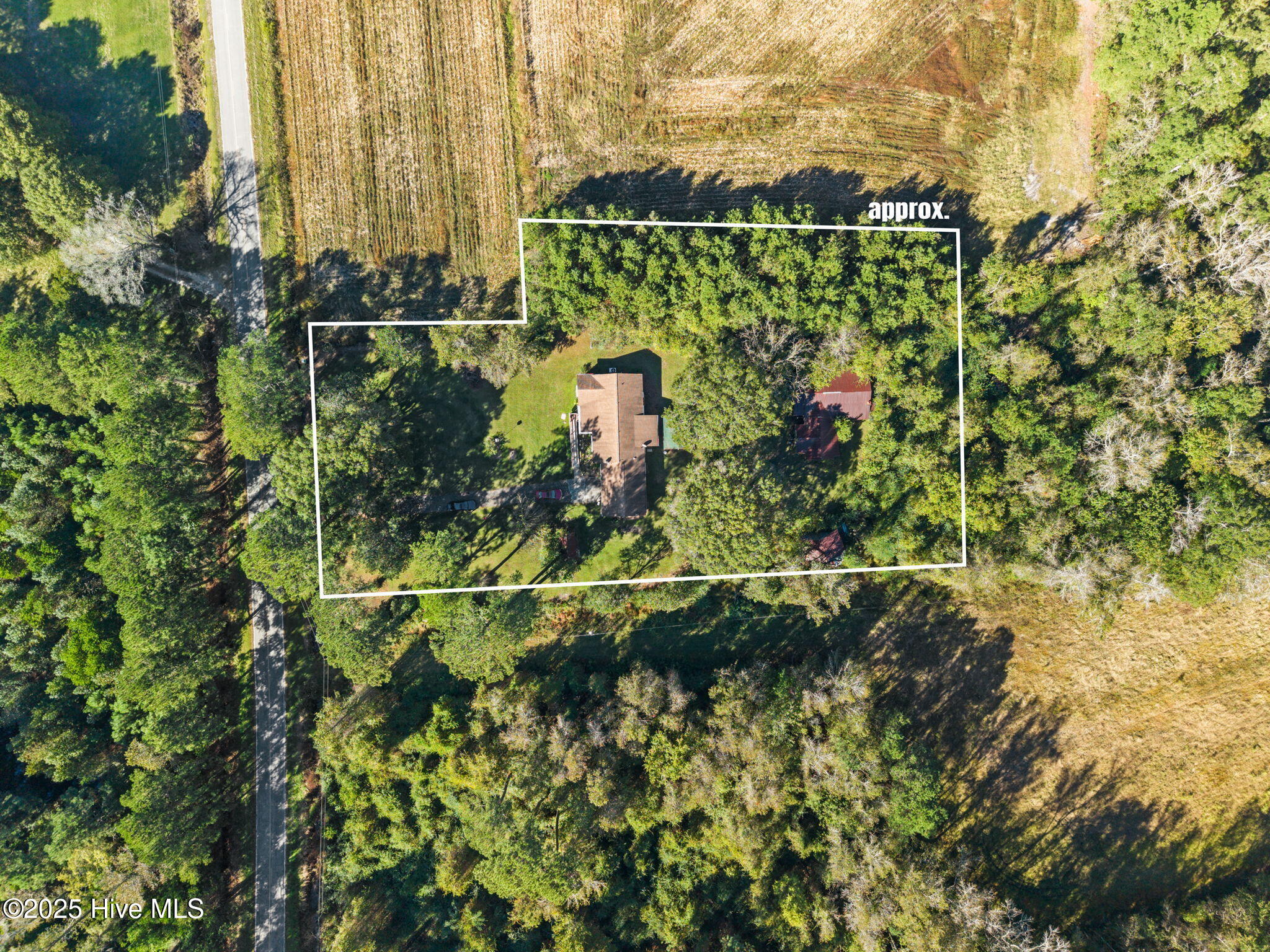 100537275 | Photo 26