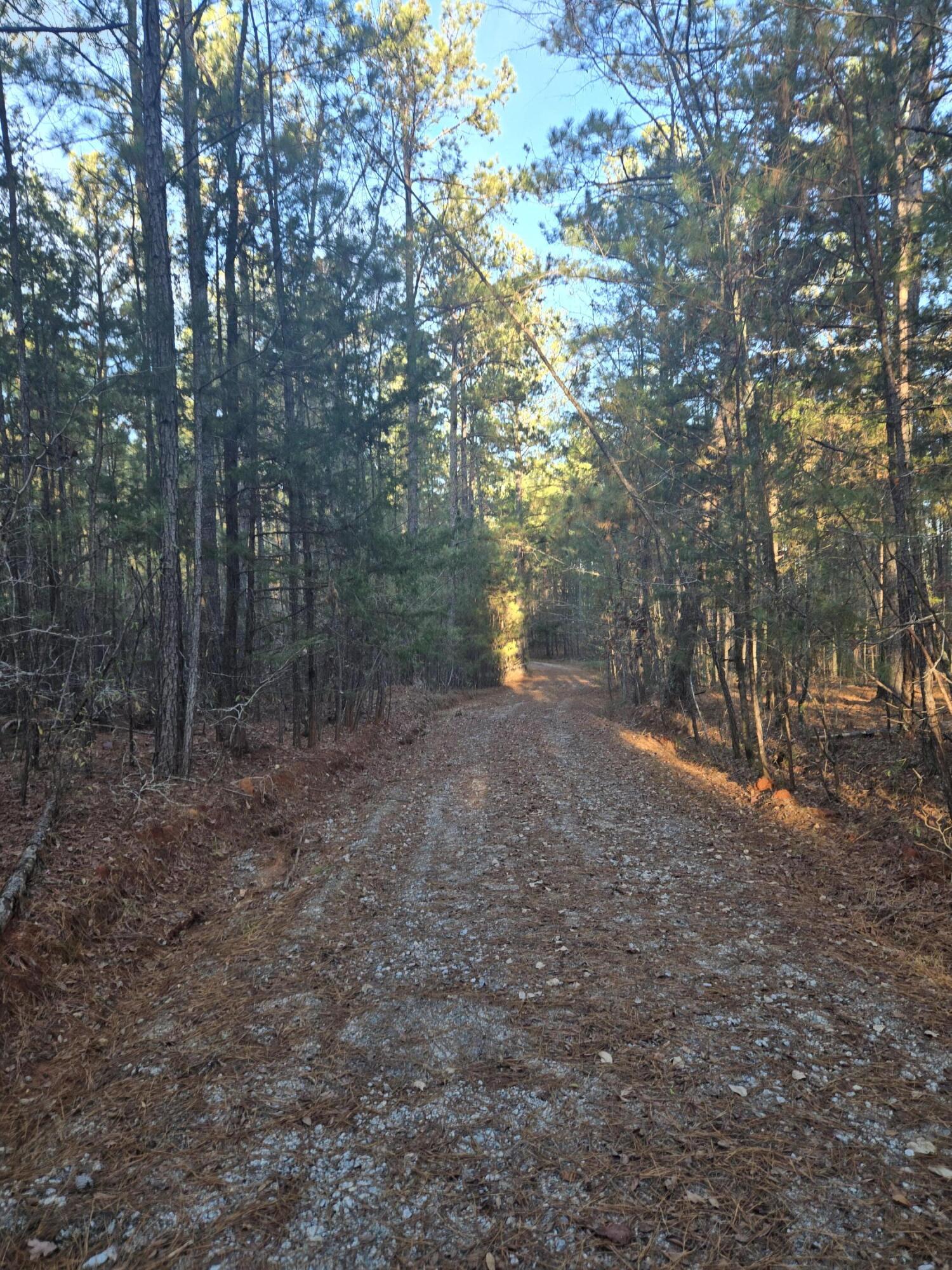 Homes for sale in Lincolnton, GA | 0 Pineridge Dr, Lincolnton, GA 30817 | MLS# 550091