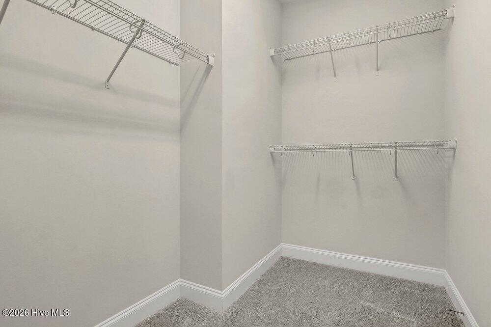 100558319 | Photo 16