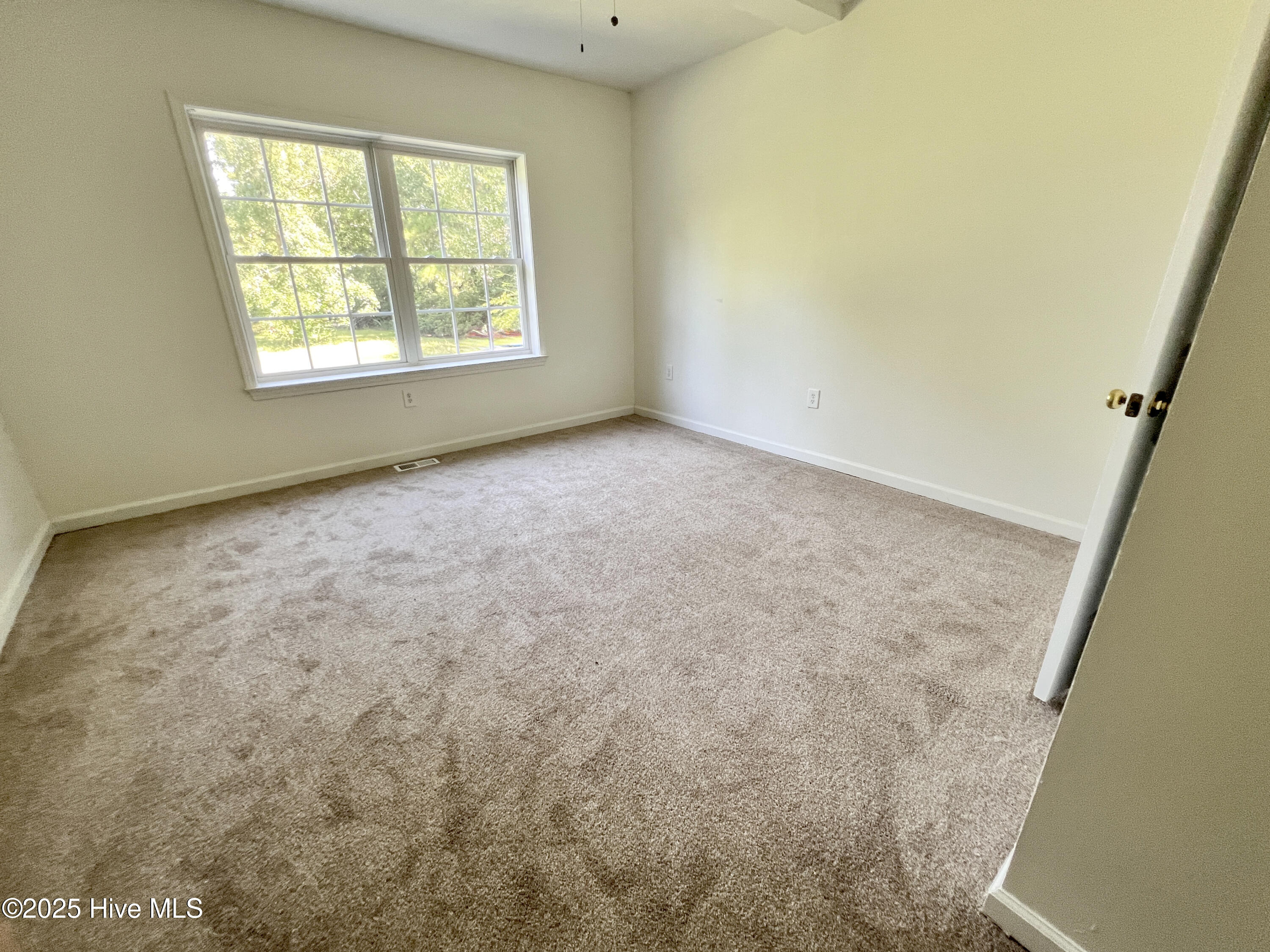 100535017 | Photo 20