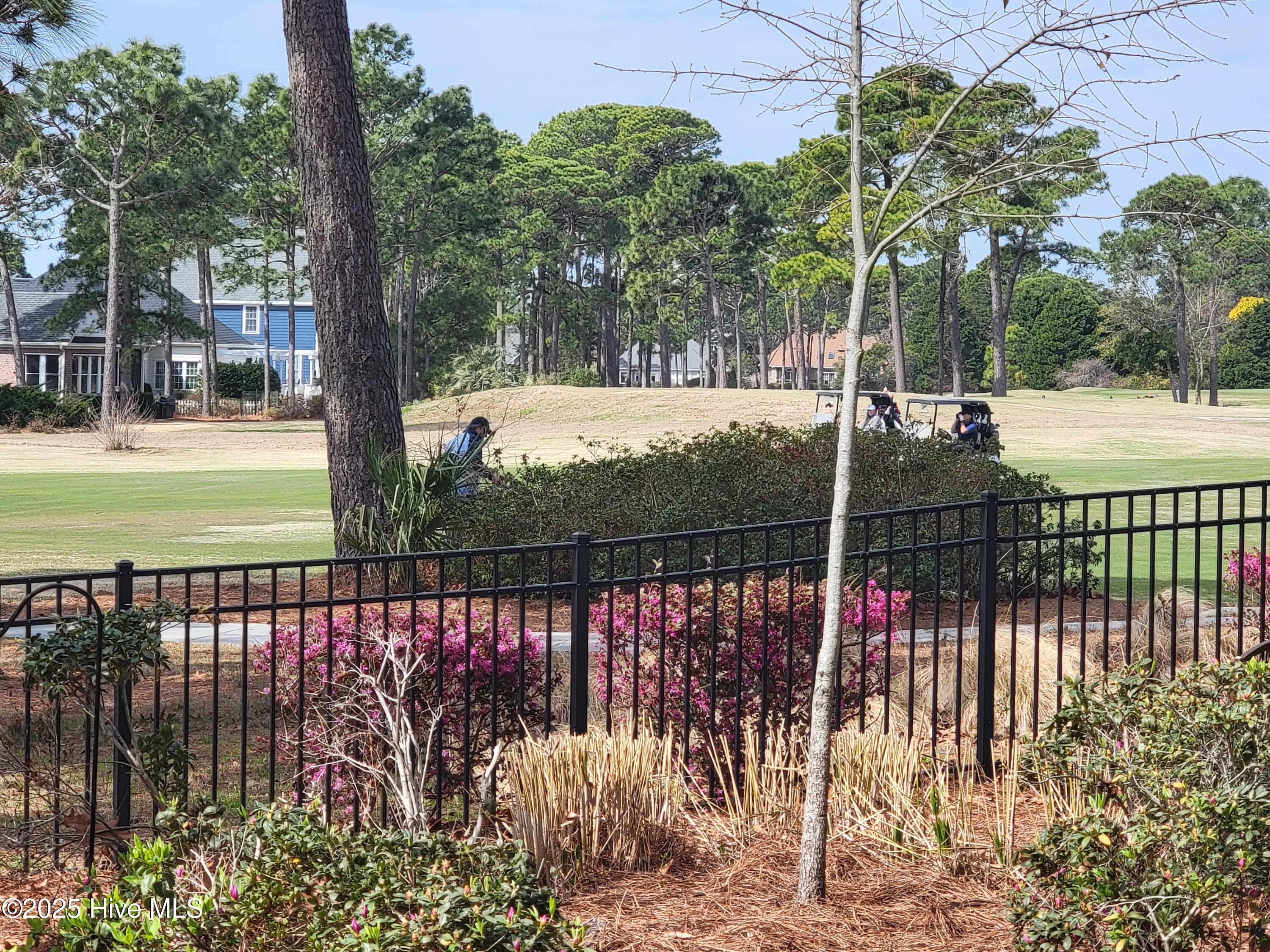 100536215 | Photo 27