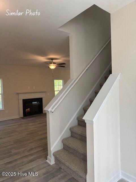 100511917 | Photo 15