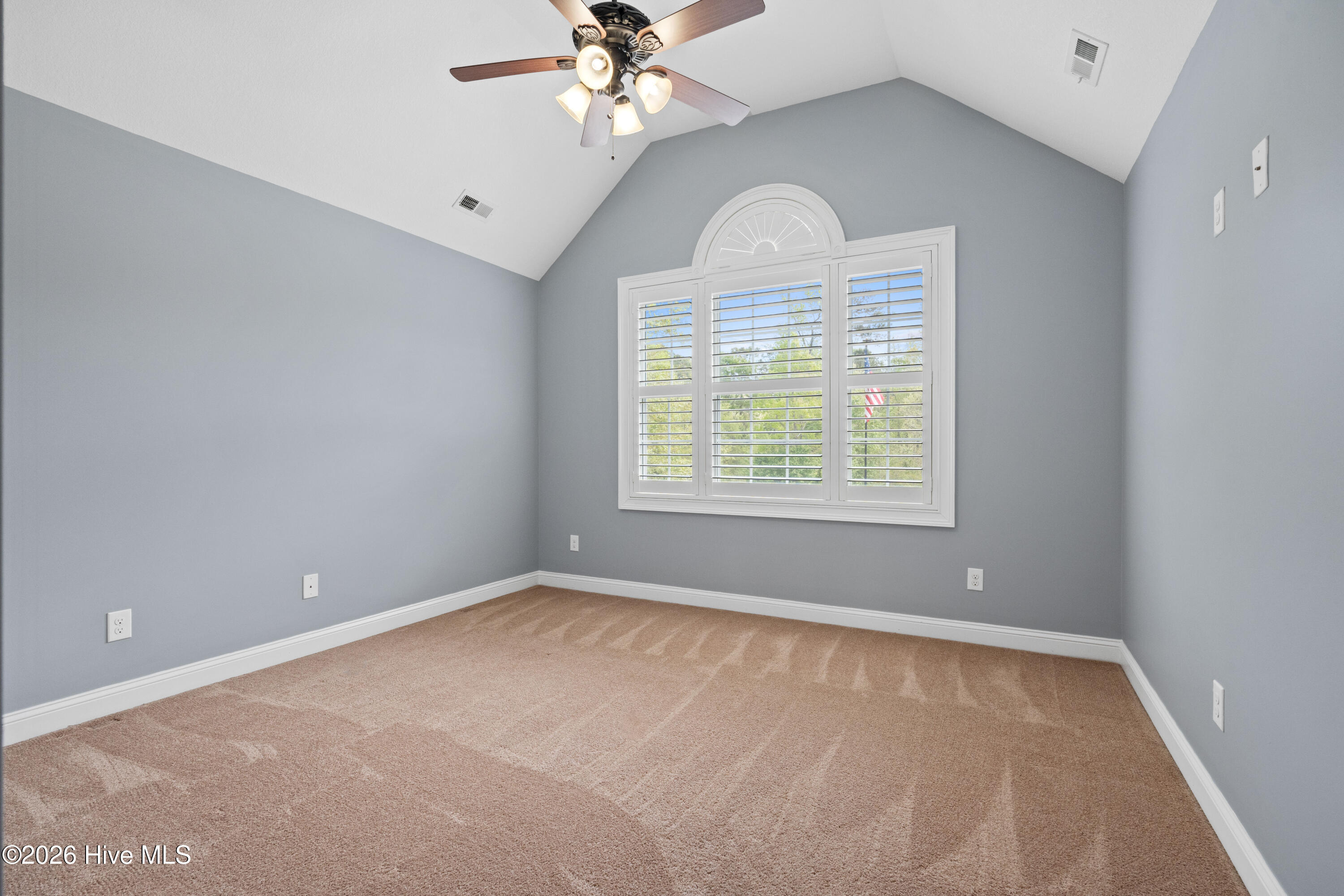 100565289 | Photo 50