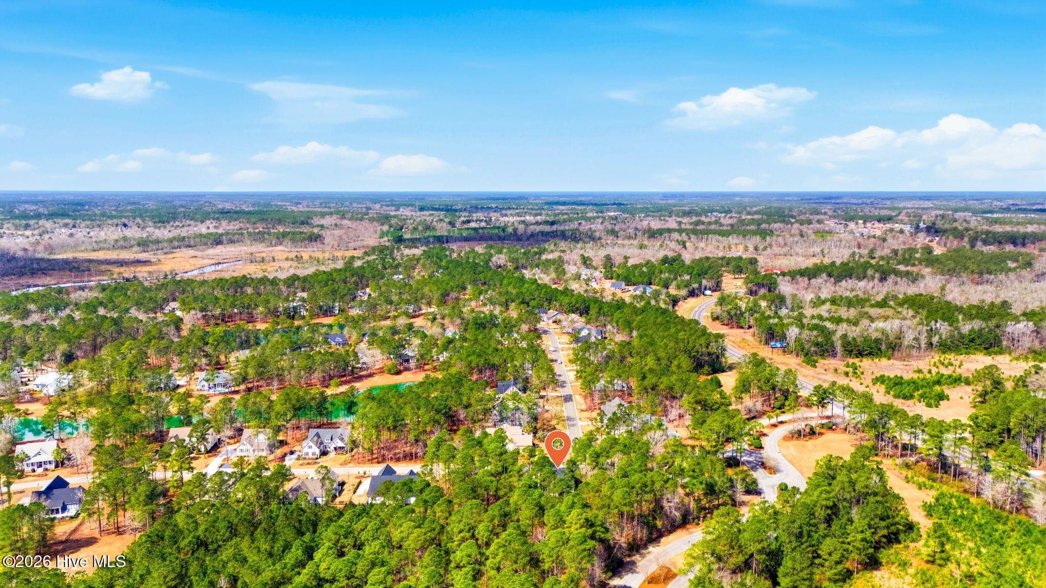 100558607 | Photo 50