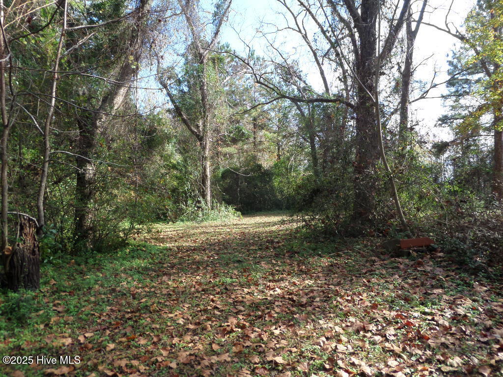 Homes for sale in Arapahoe, NC | 7682 Kershaw Rd, Arapahoe, NC 28510 | MLS# 100542961