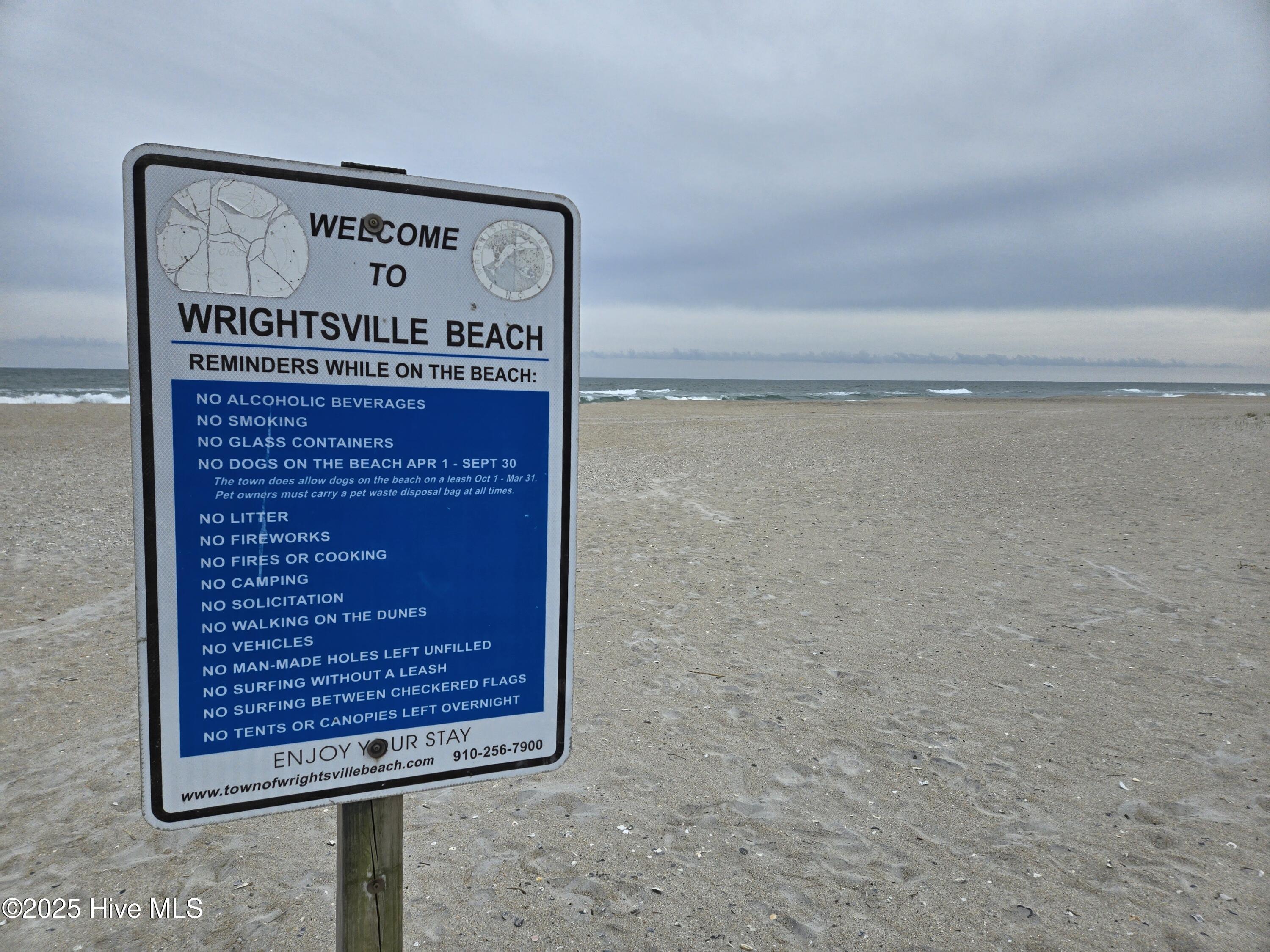 100494459 | Photo 42