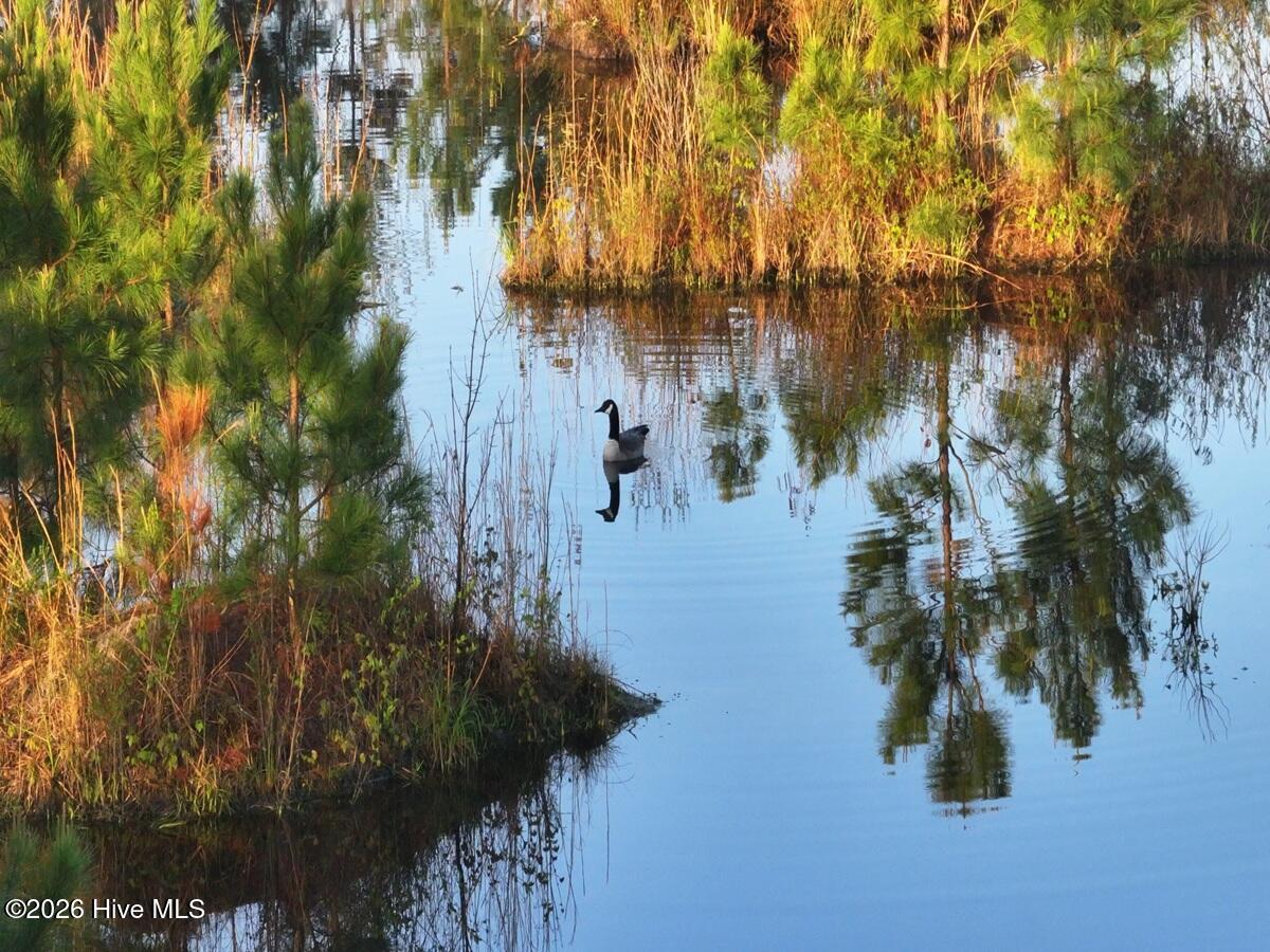 0 Durwood Evans Road, Beulaville, NC, 28518