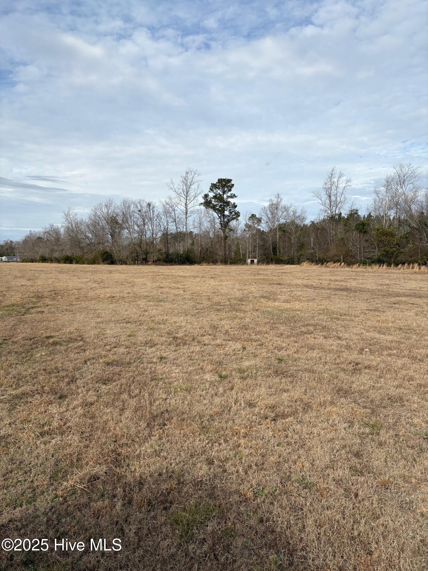 100532071 | Photo 18