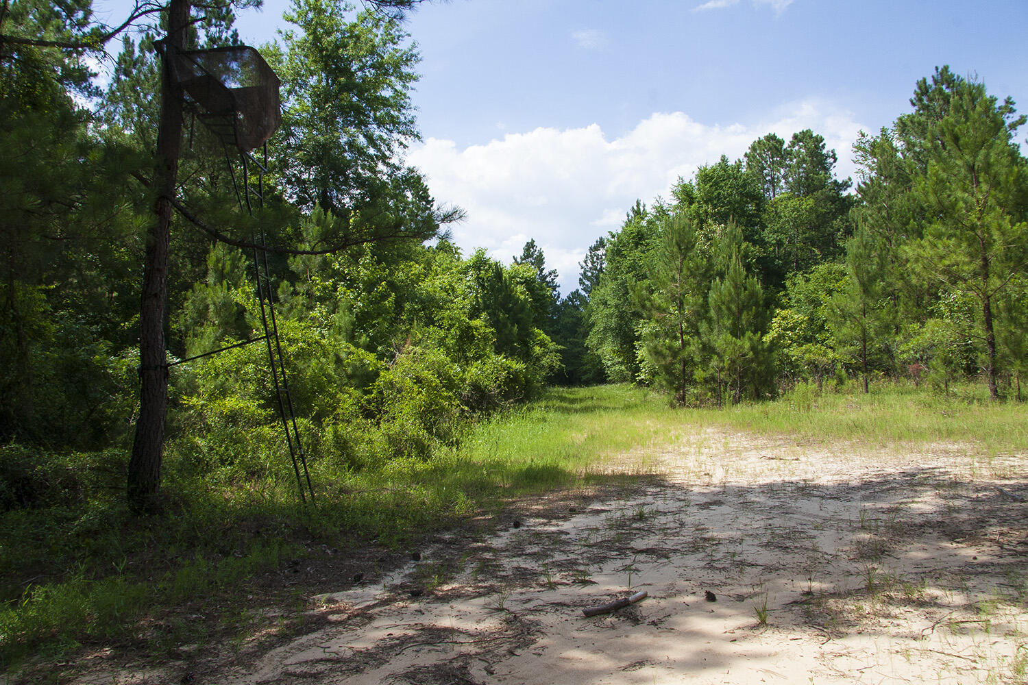 1515D HEPHZIBAH - MCBEAN Road, Hephzibah, GA, 30815