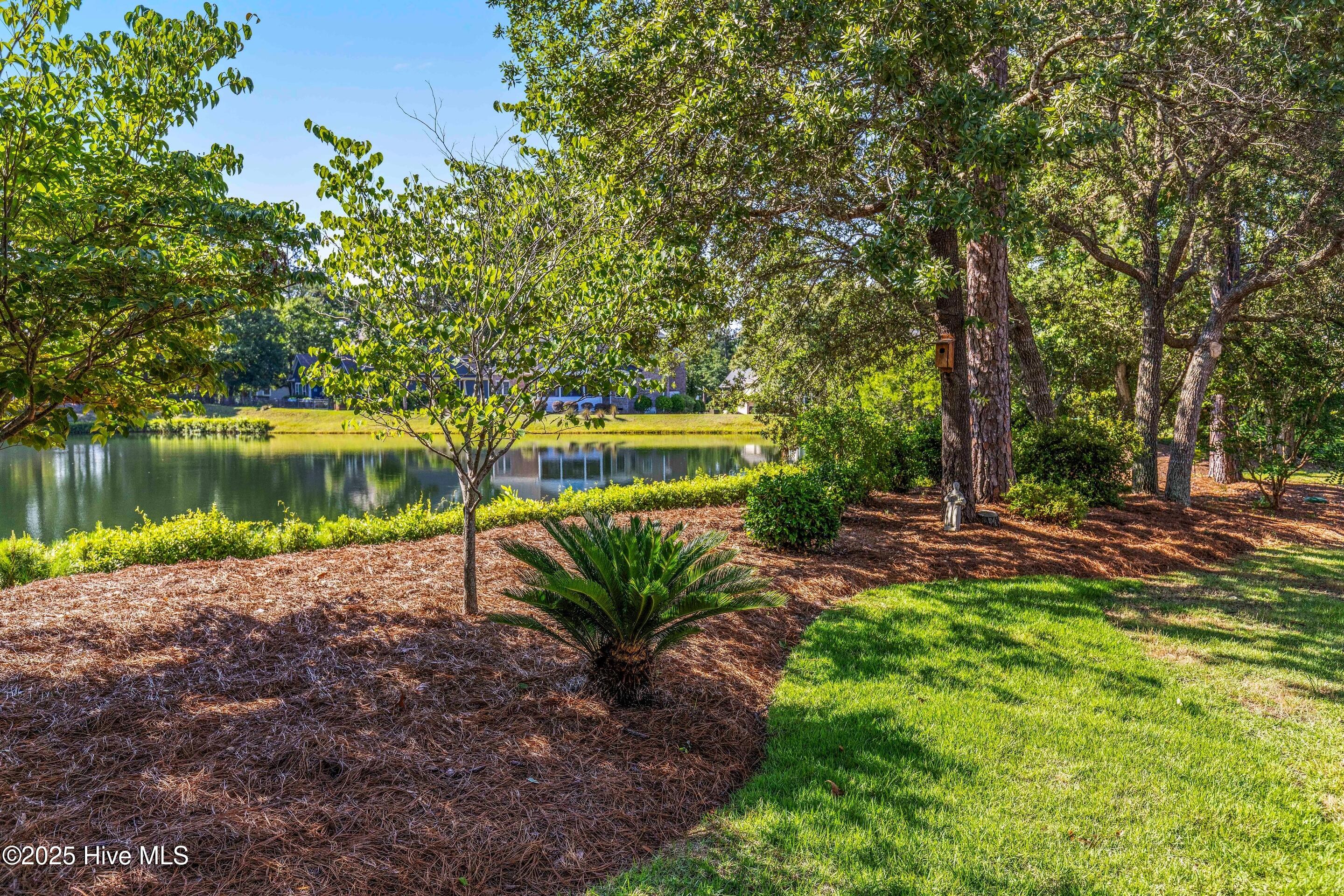 100514713 | Photo 56