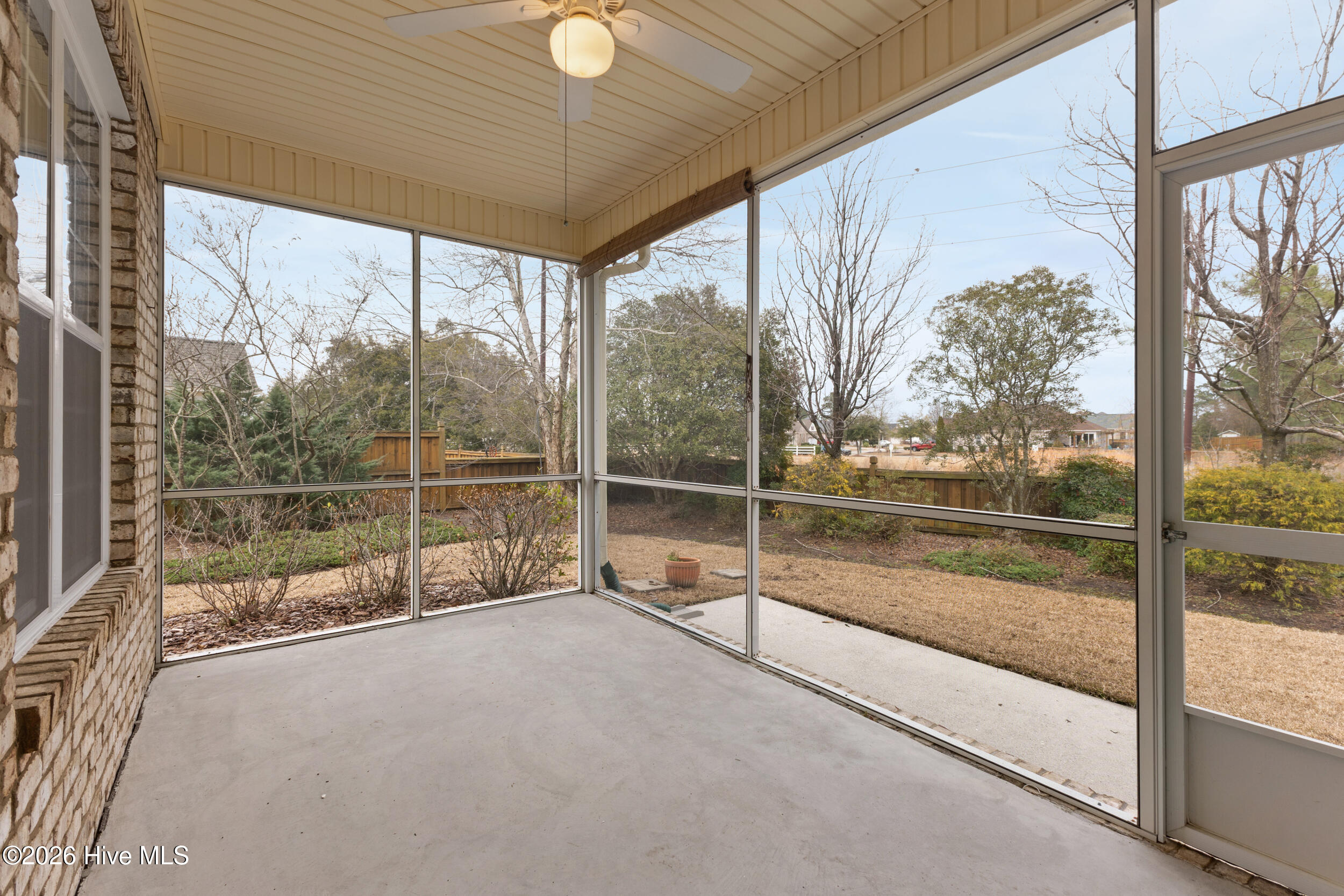 100557149 | Photo 41