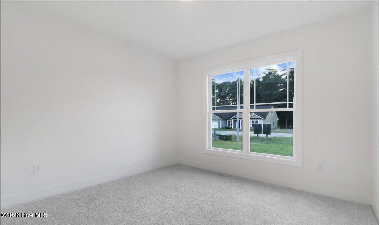 100563346 | Photo 16