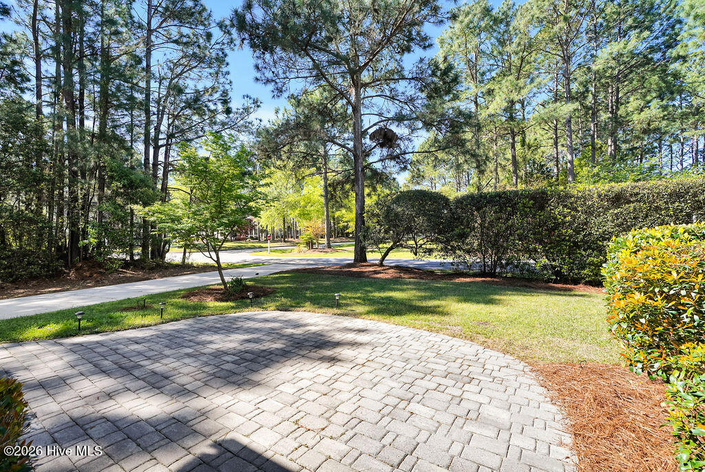 100566993 | Photo 42