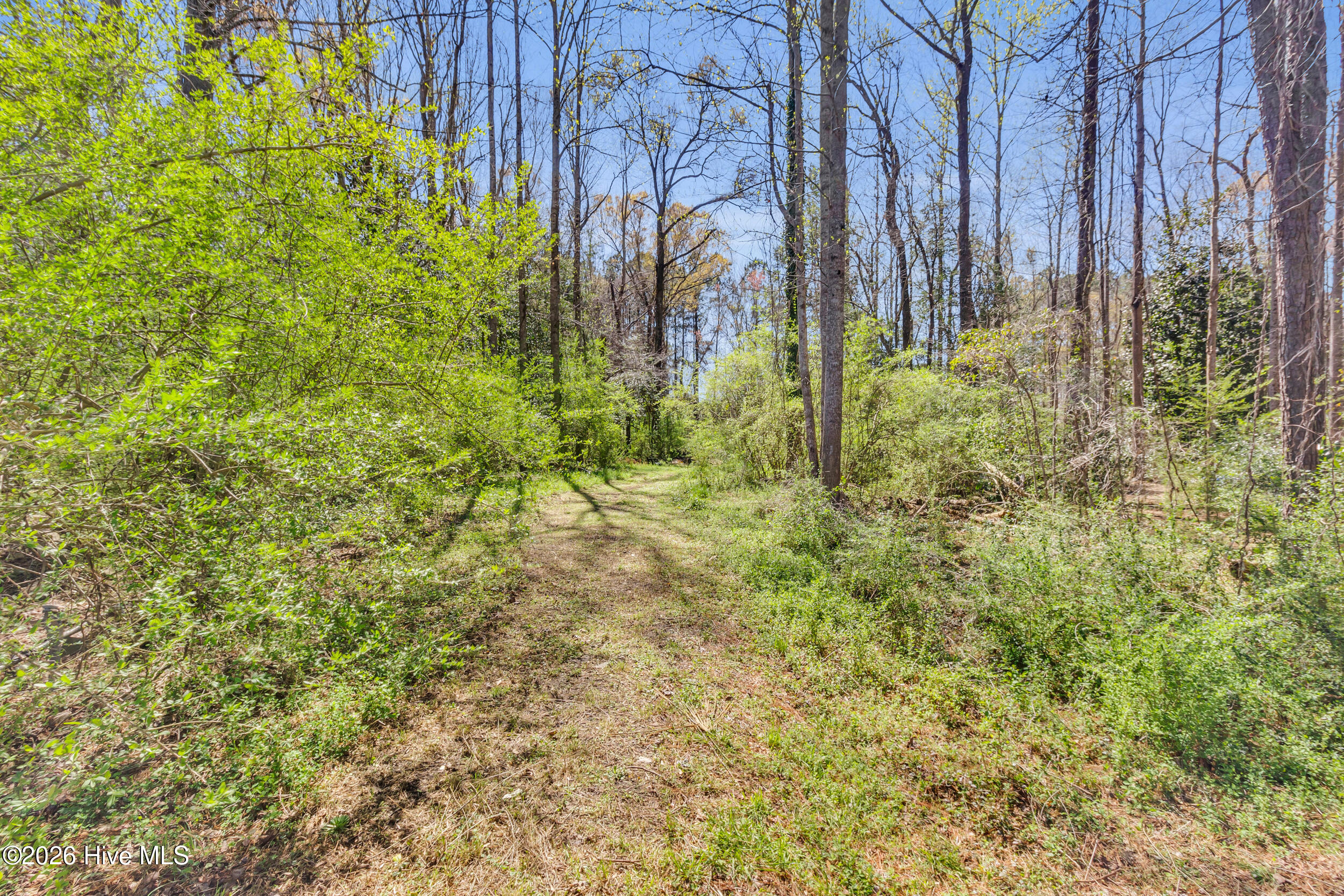 275 Bayleaf 