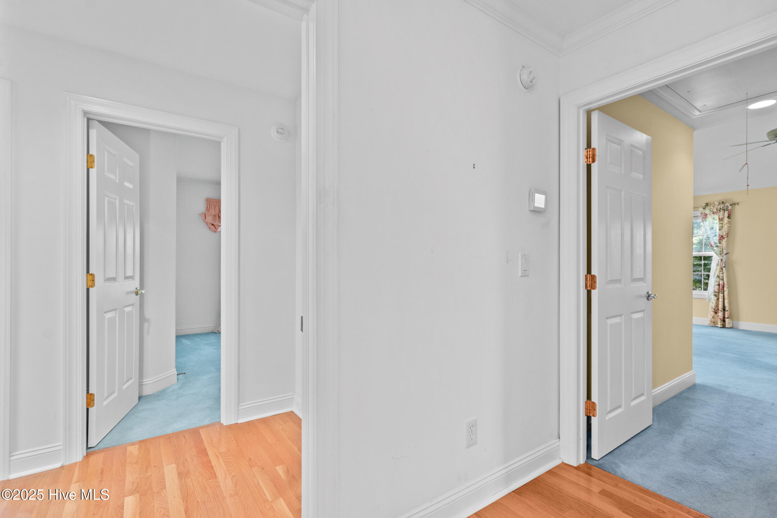 100539143 | Photo 15