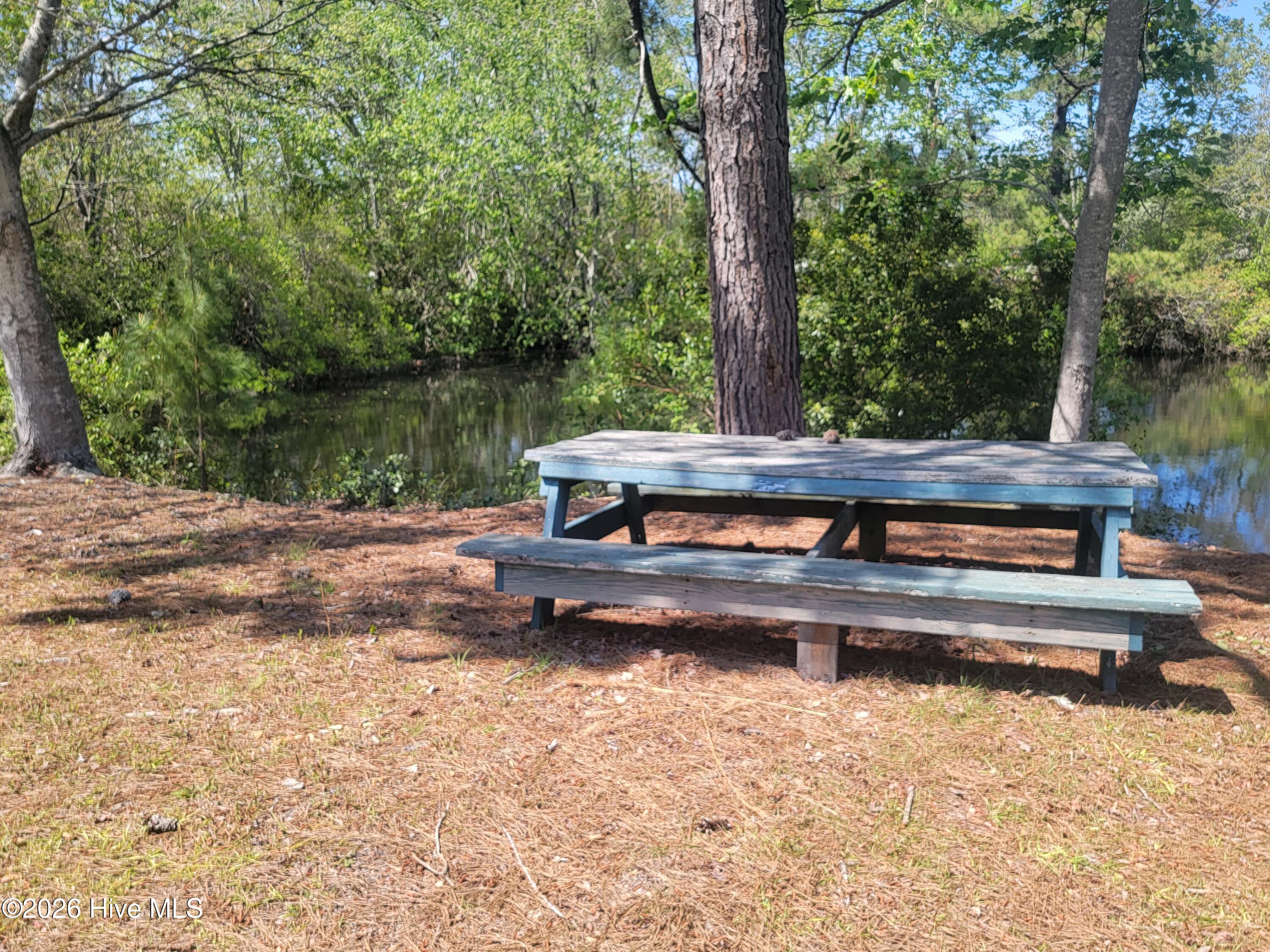 100575972 | Photo 24