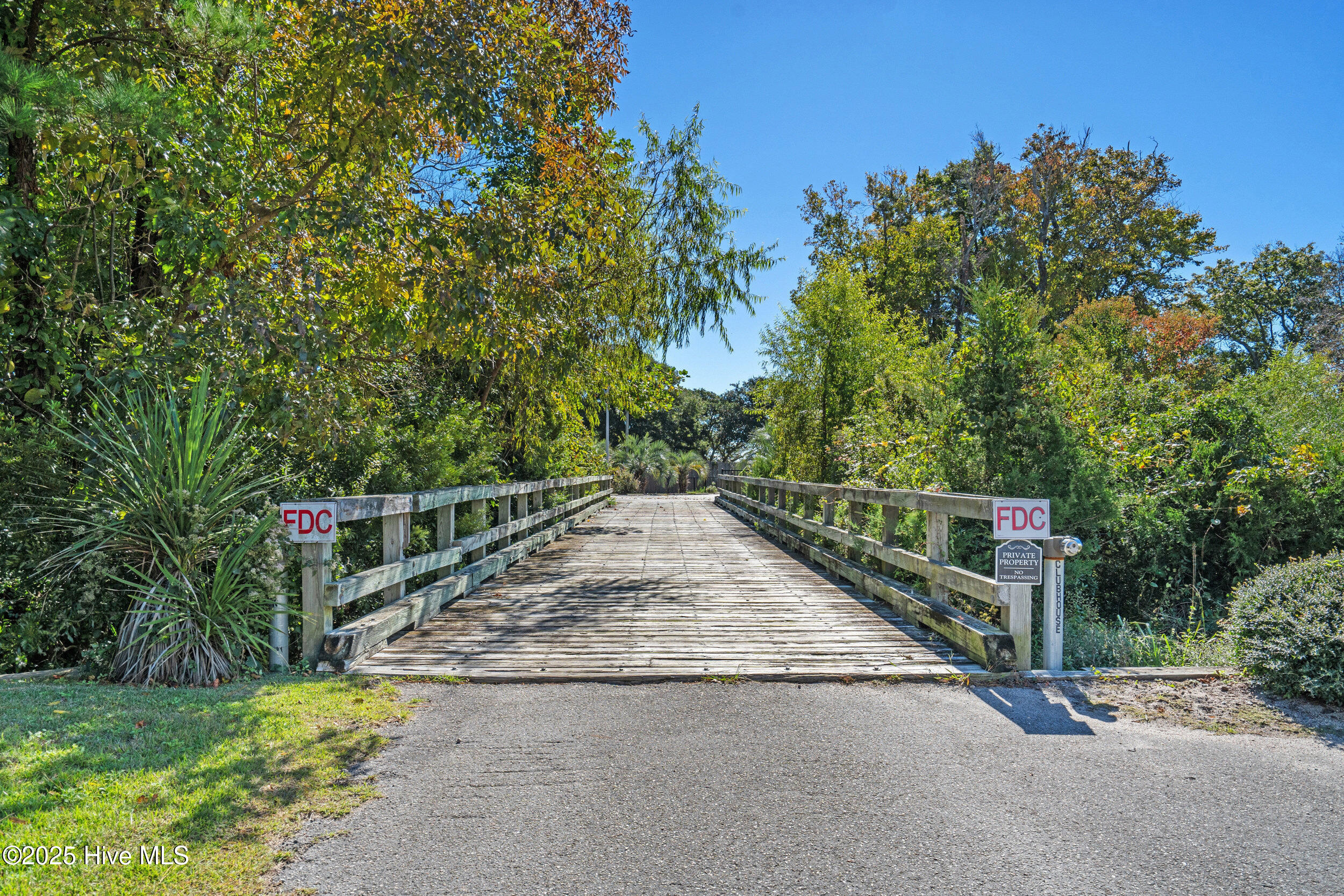 100539036 | Photo 56