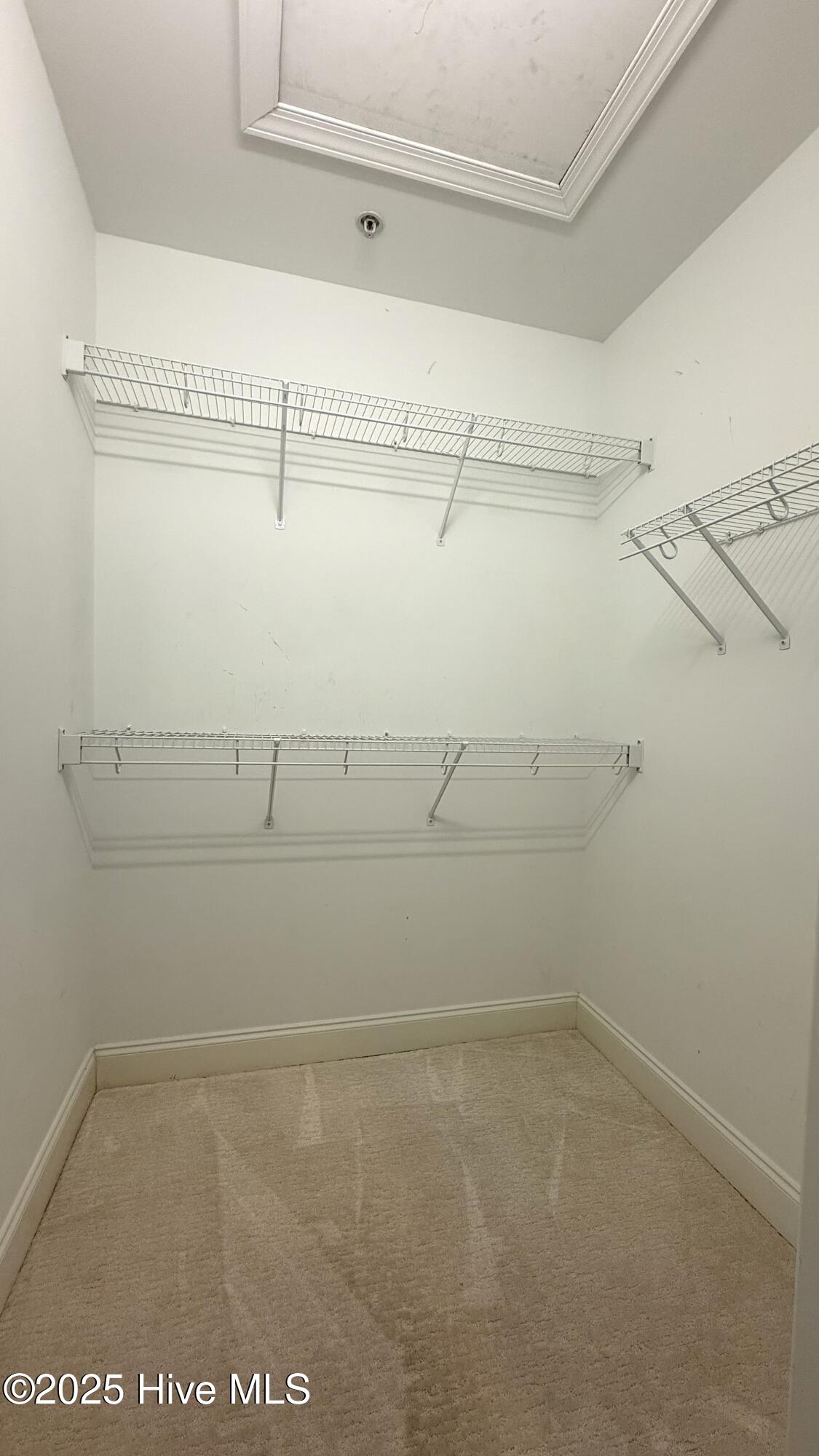 100542840 | Photo 26