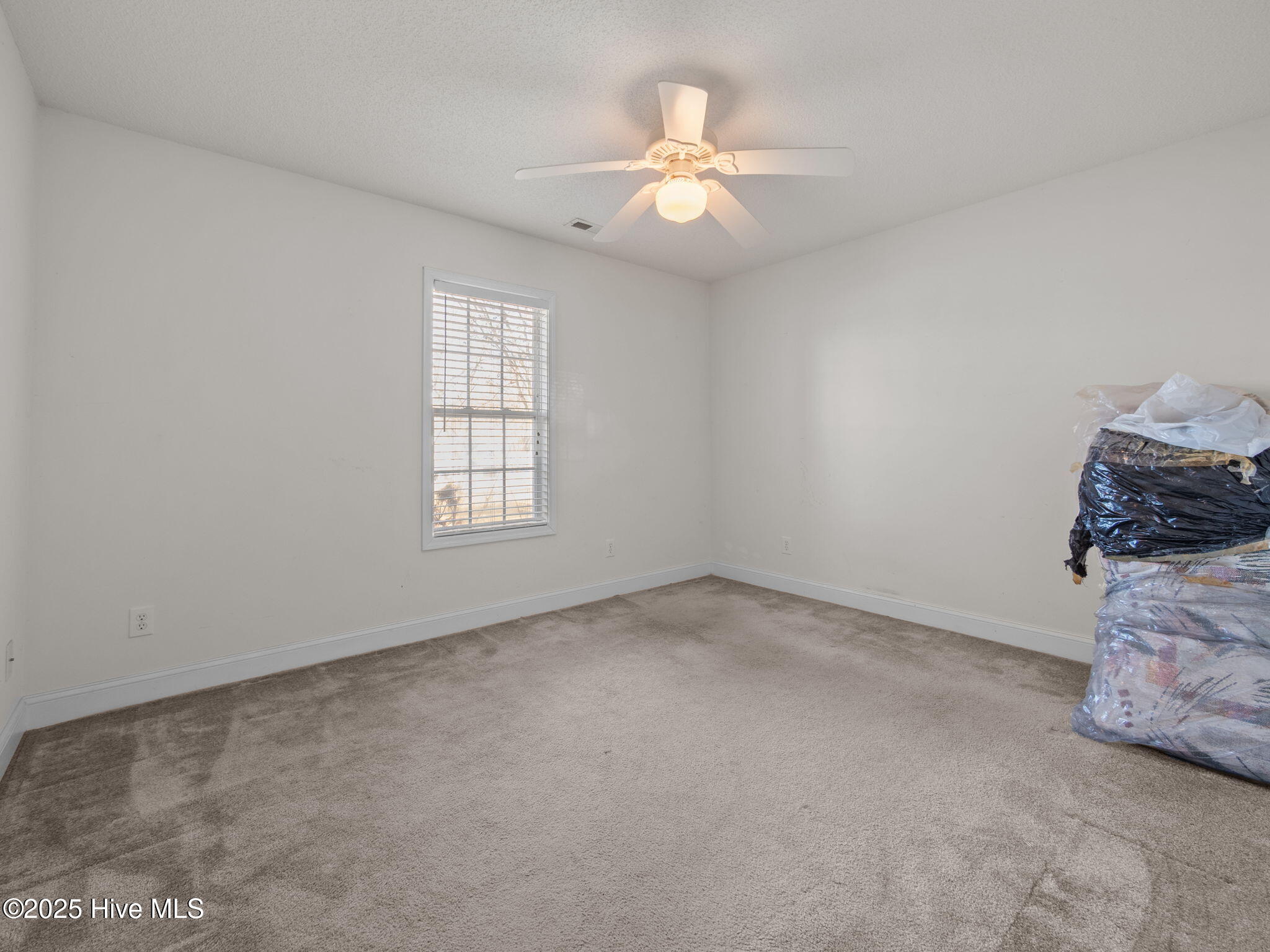 100545105 | Photo 18