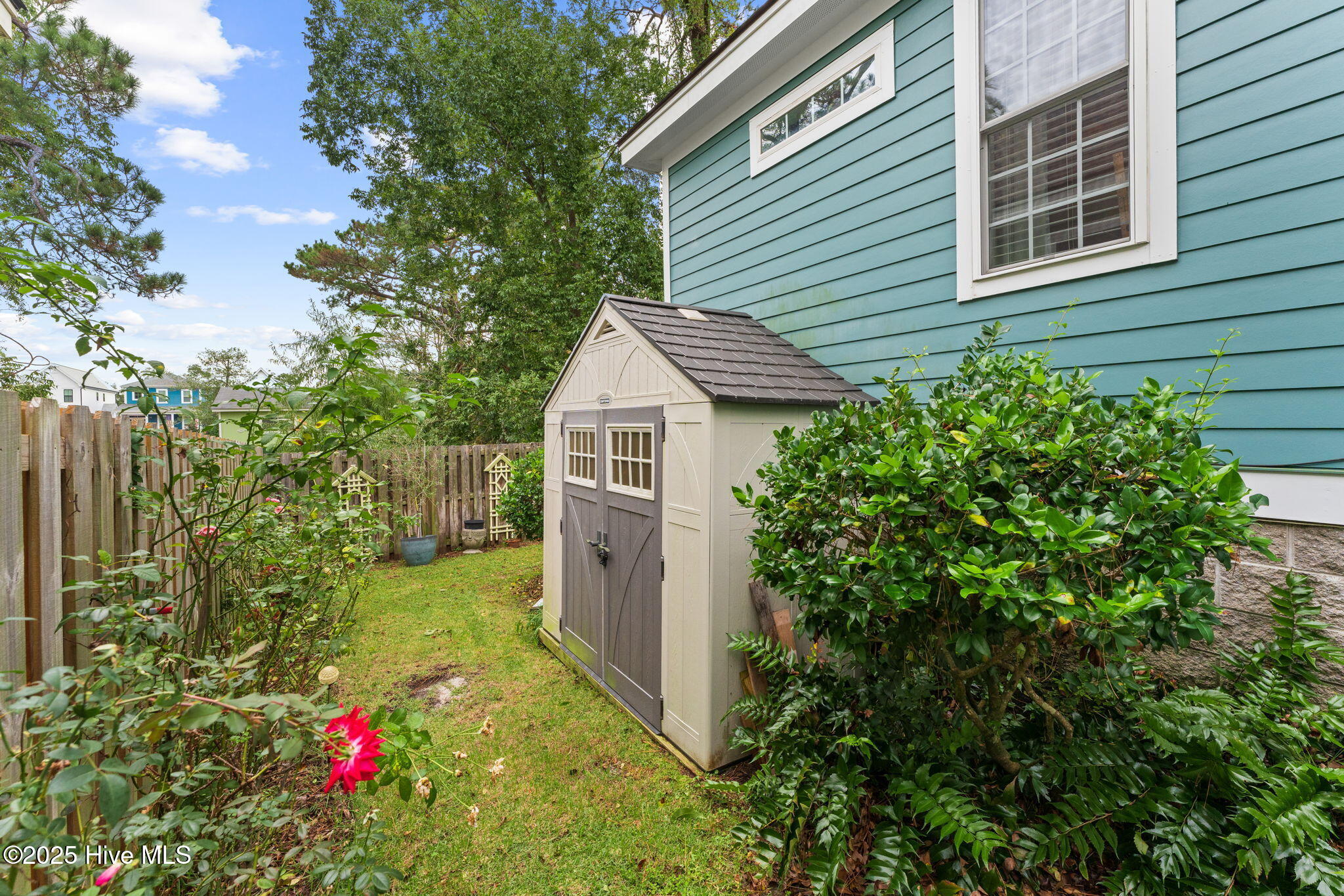 100534580 | Photo 37