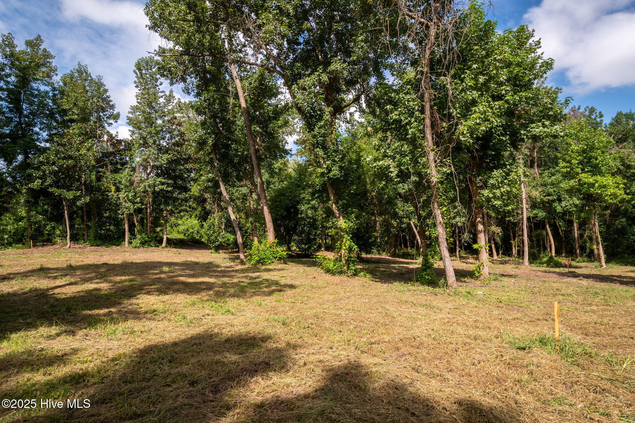 100524642 | Photo 25