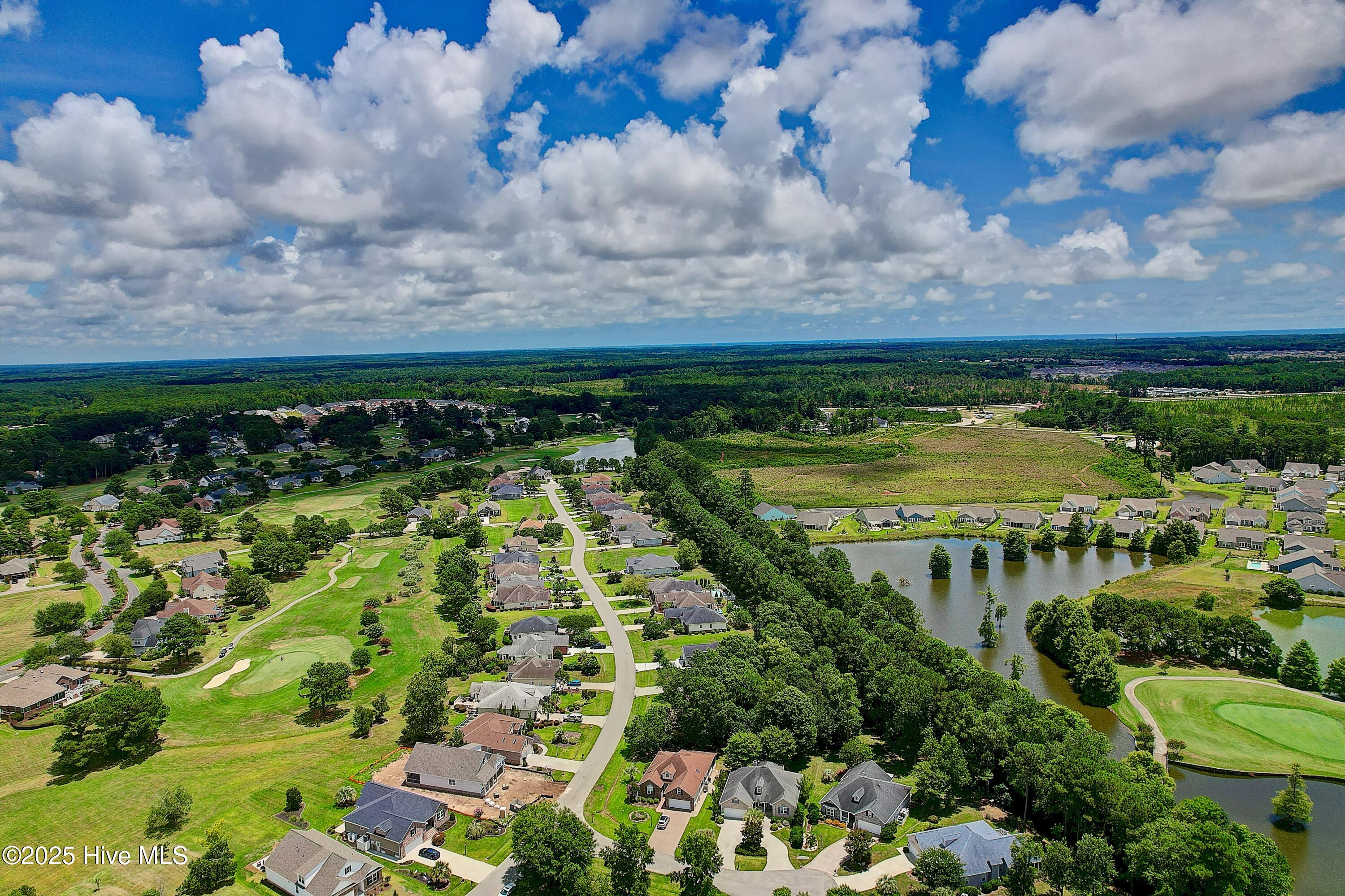 100545372 | Photo 51