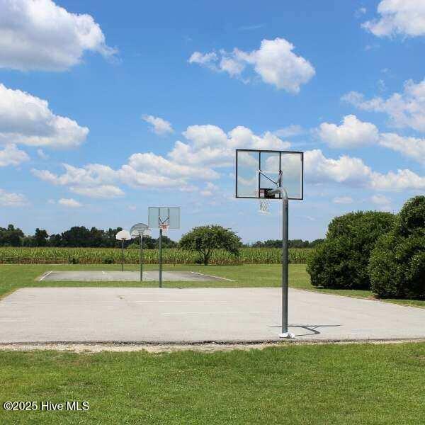 100533582 | Photo 38