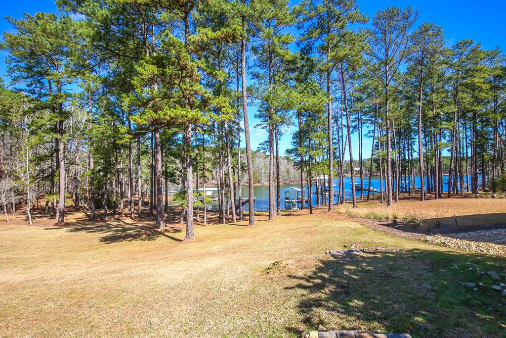 Undisclosed Address, Appling, GA, 30802