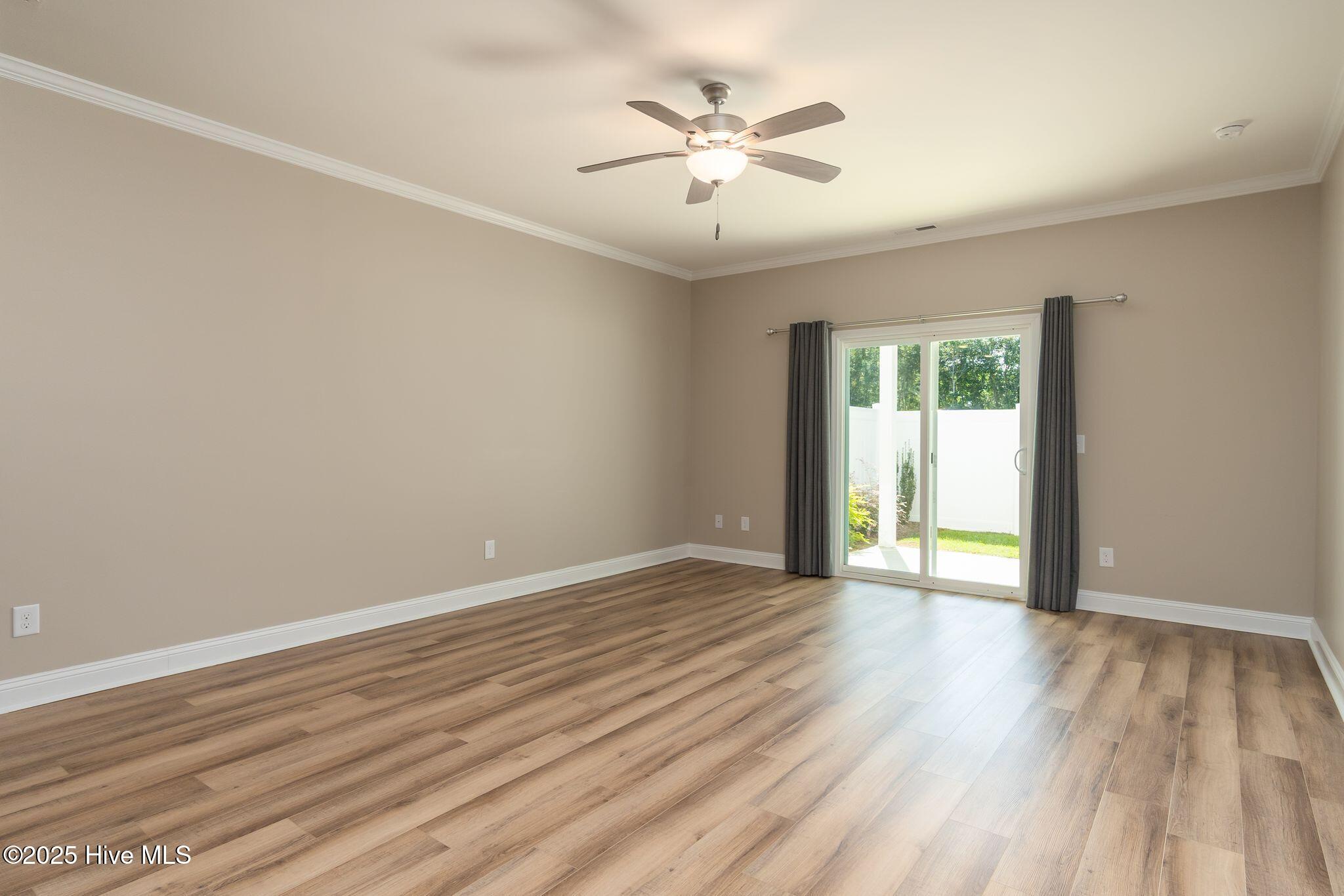 100531651 | Photo 14