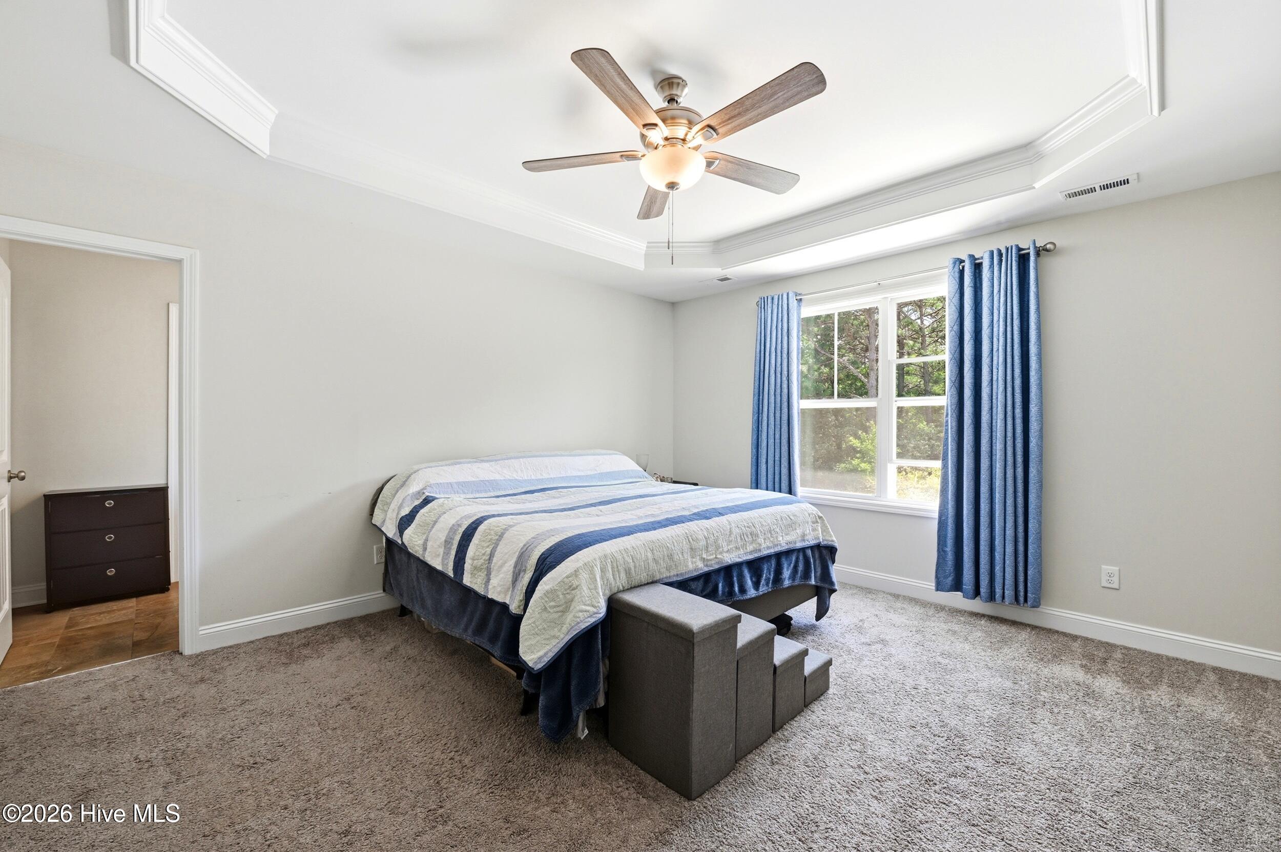 100567137 | Photo 17