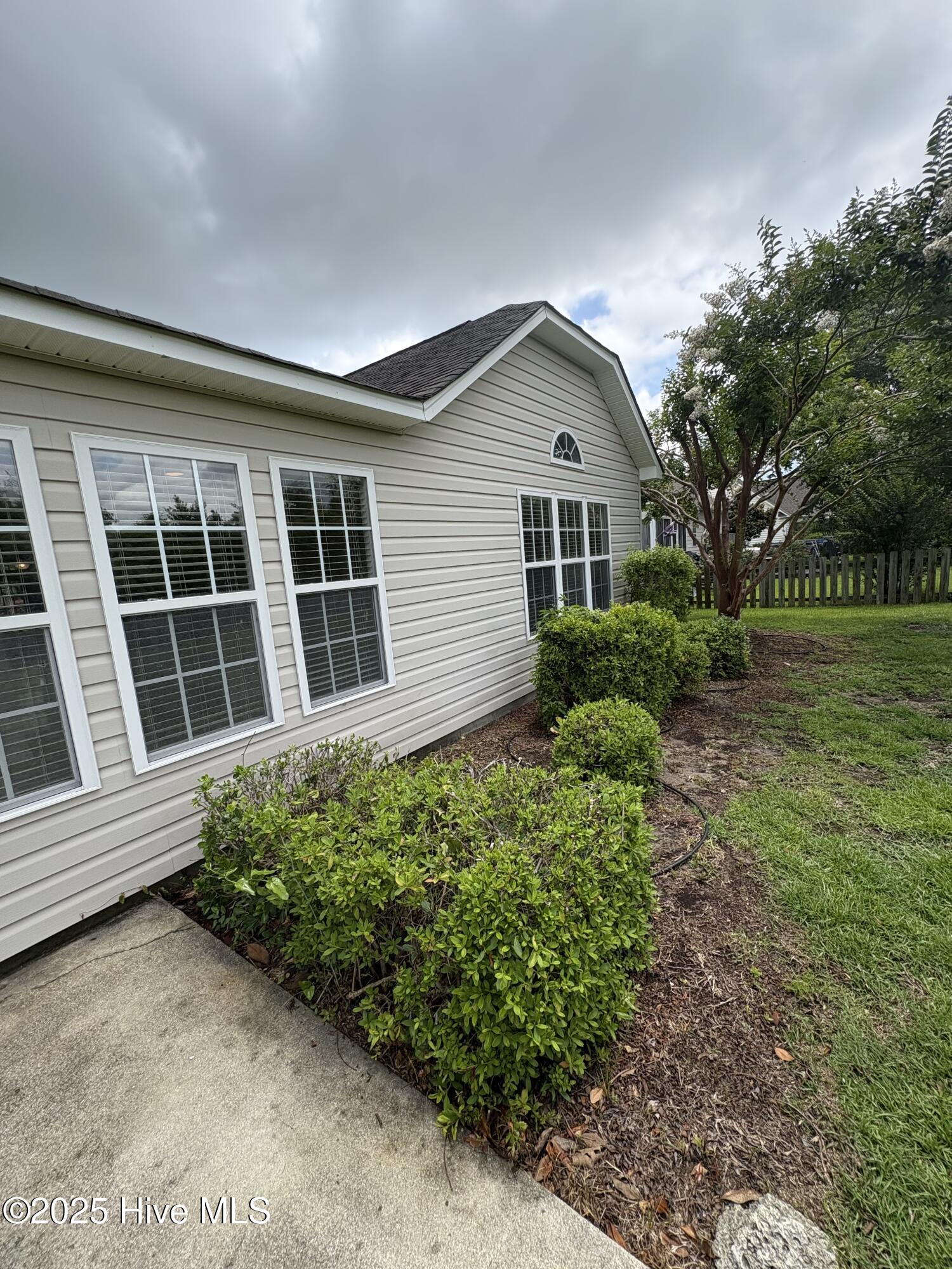 100560498 | Photo 25