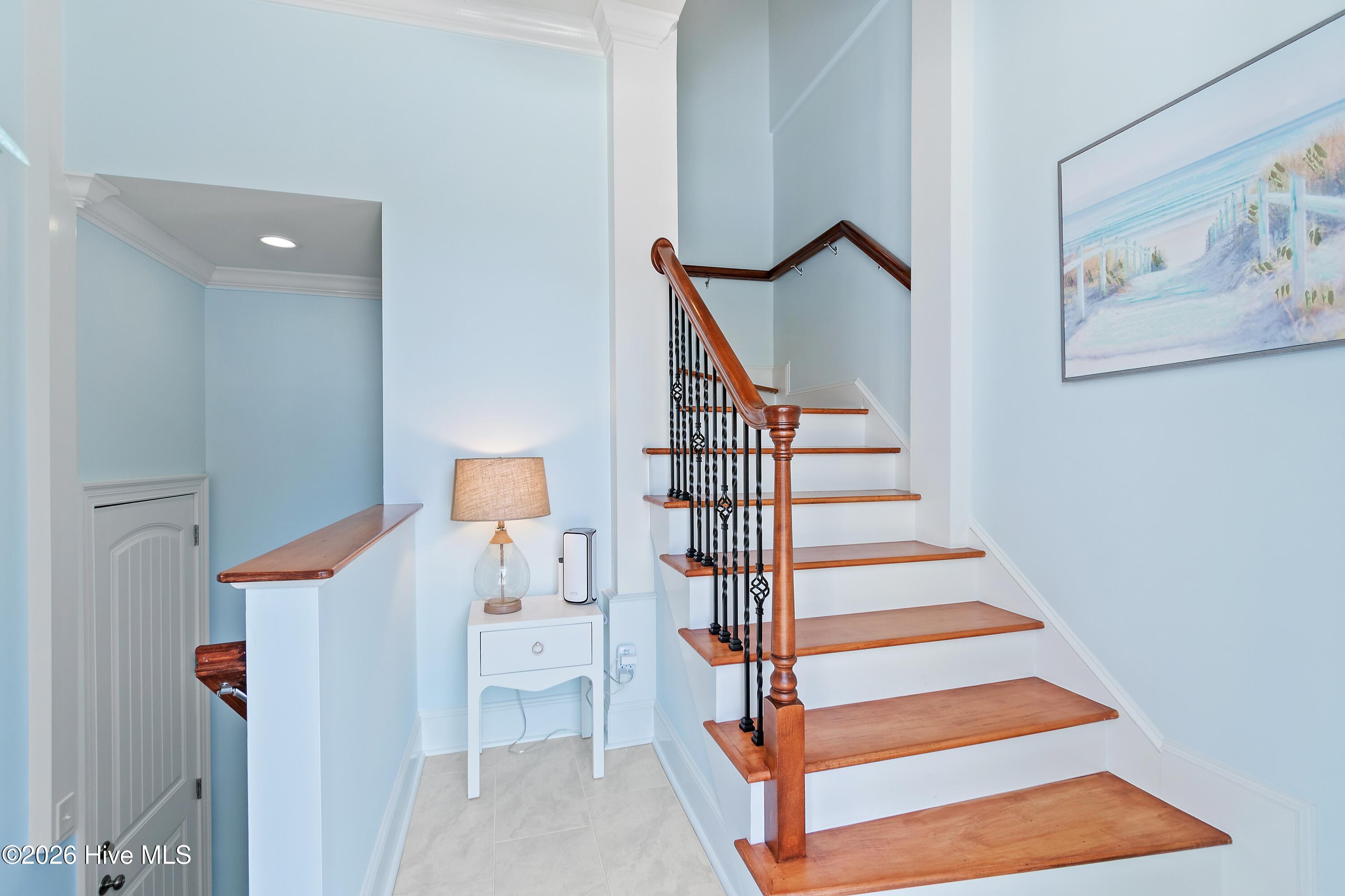 100562772 | Photo 15