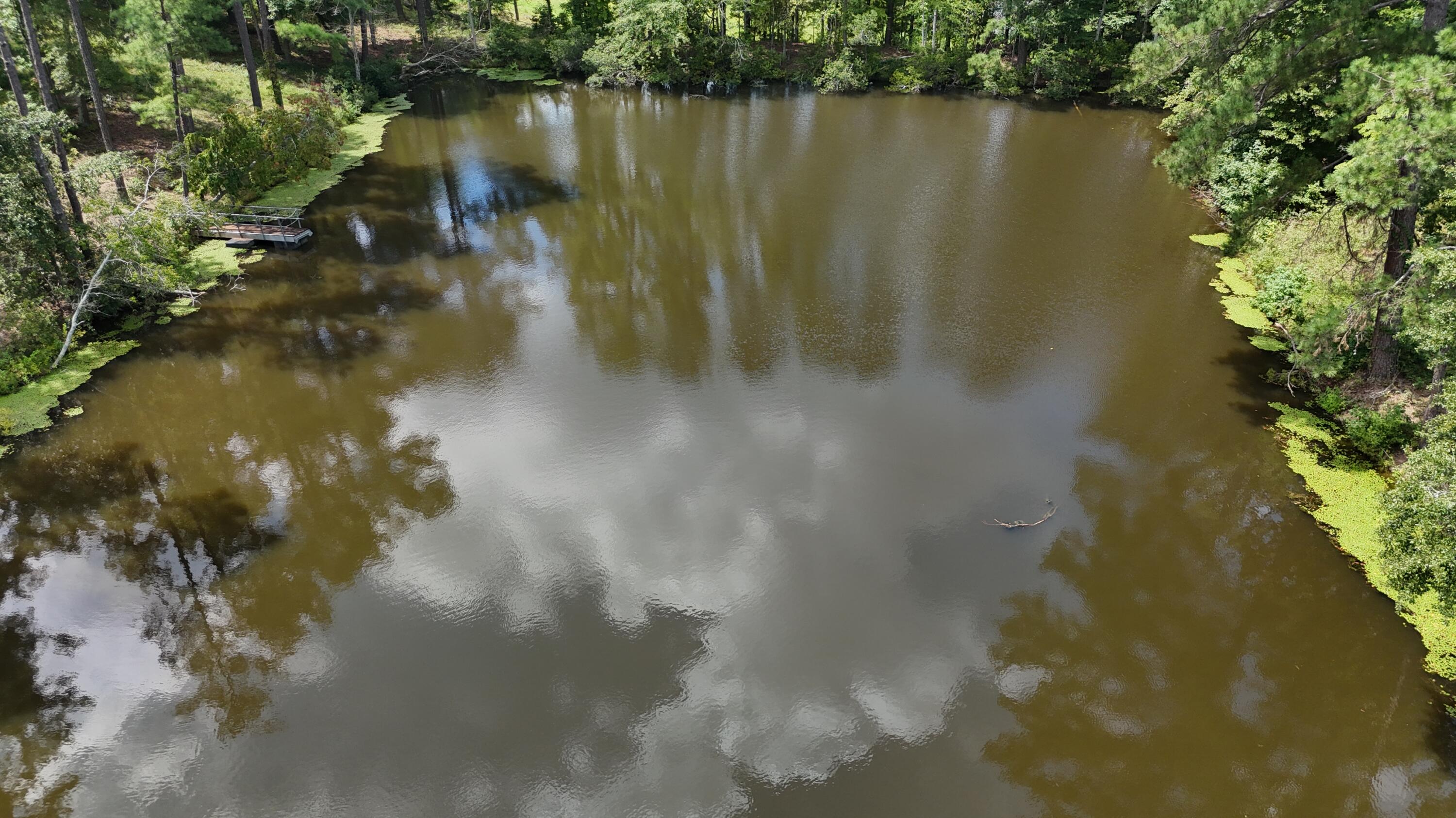 Homes for sale in Trenton, SC | 0 Hummingbird Dr, Trenton, SC 29847 | MLS# 546015