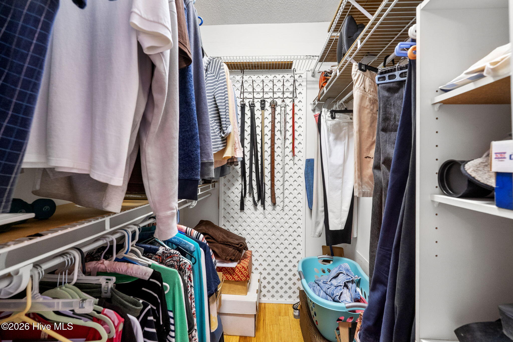 100568213 | Photo 29