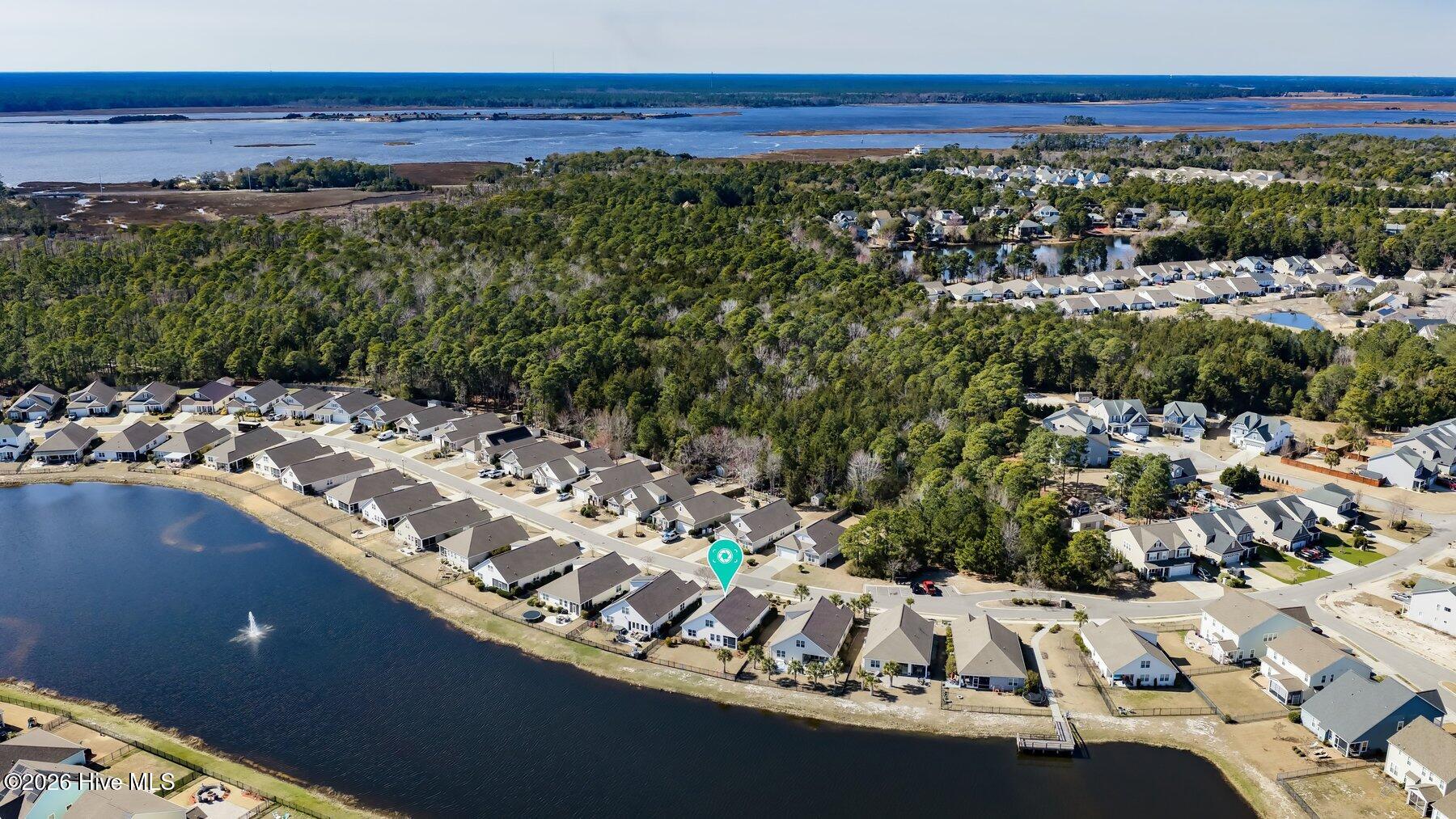 100556817 | Photo 42