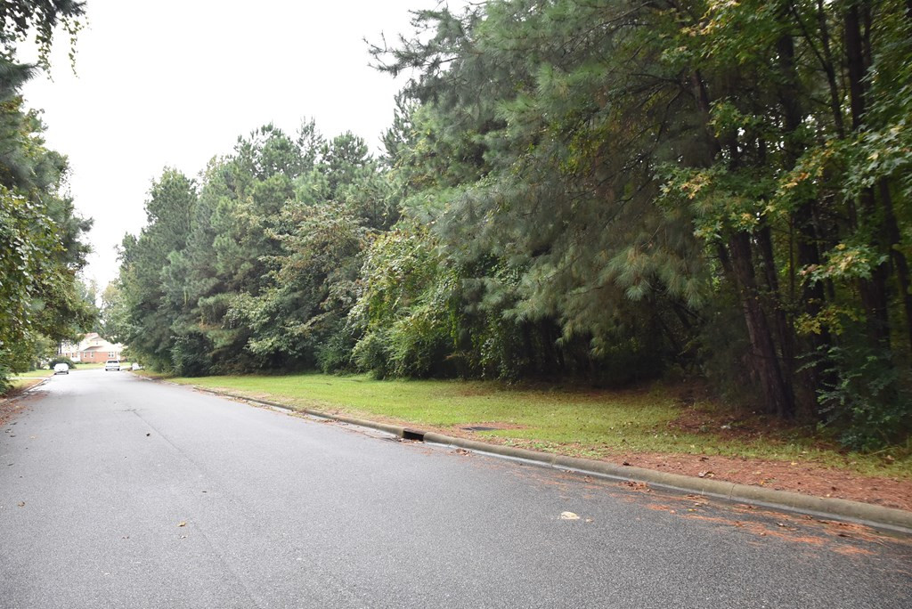 Exterior photo of 0 N Berkeley Boulevard, Goldsboro, NC 27534. MLS: 100601462
